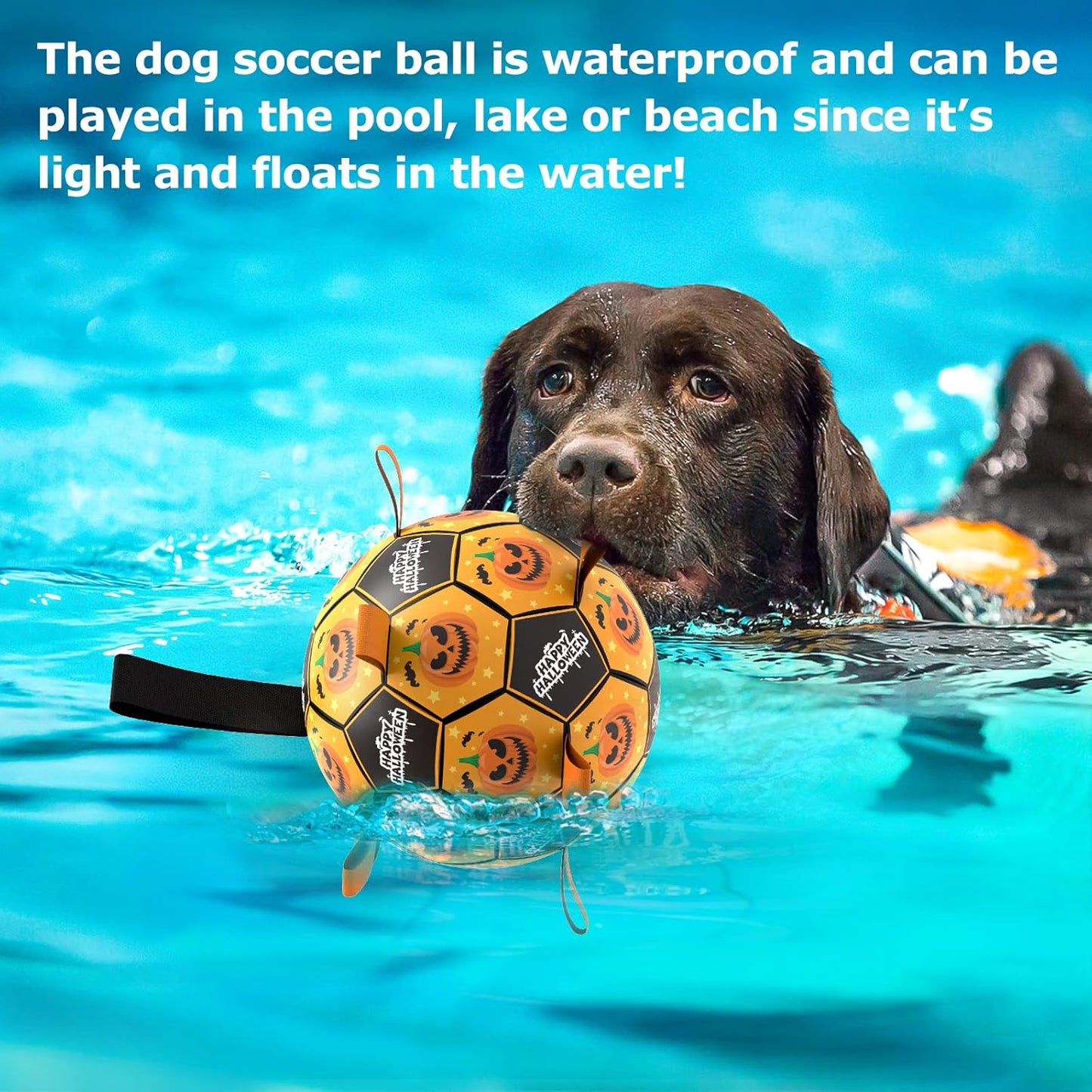 QDAN Halloween Dog Toys, Soccer Balls, Interactive Pet Toys, Puppy Dogs Birthday Gifts, Durable Dog Balls for Small Medium Dogs（6 Inch）