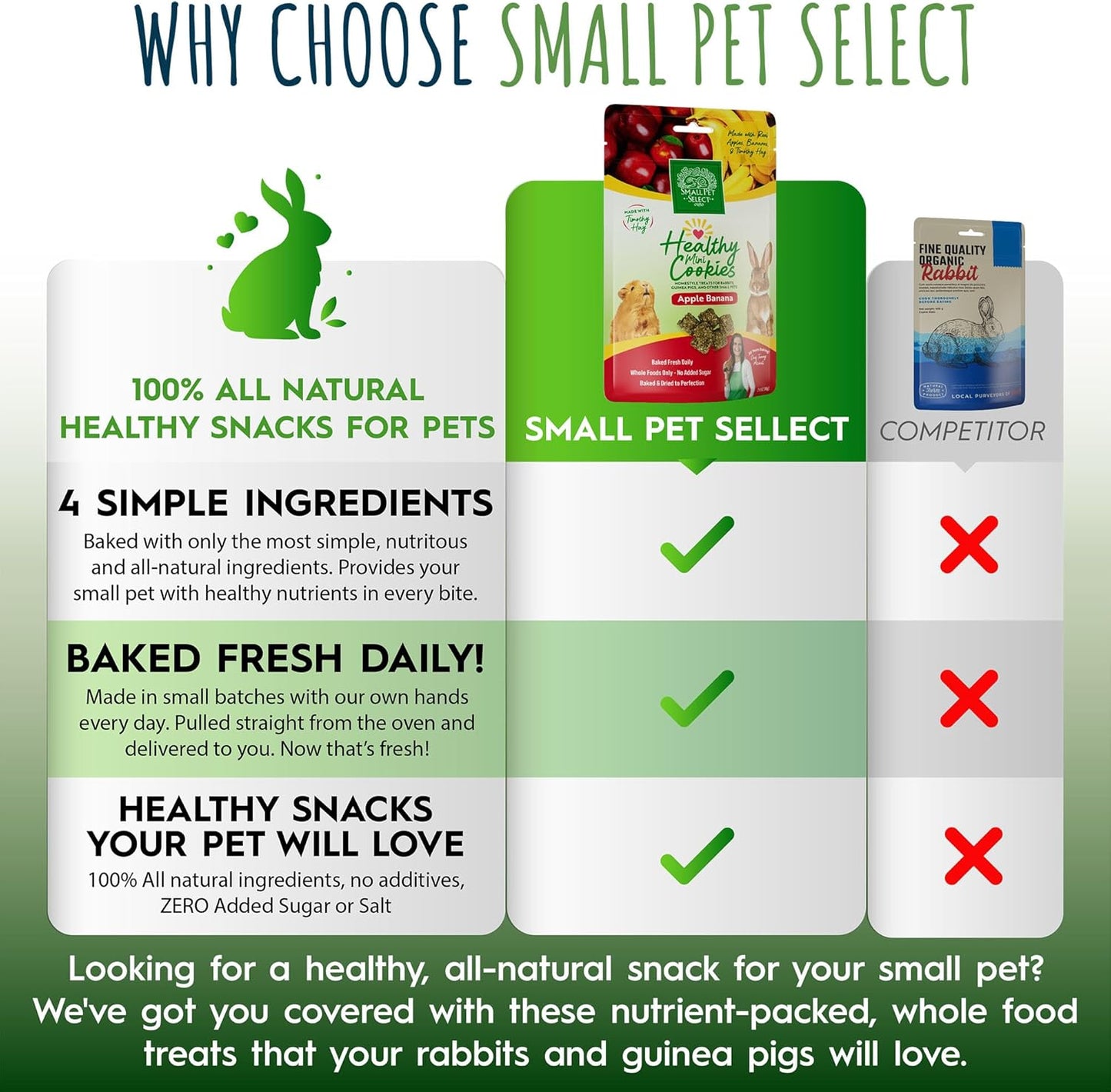 Small Pet Select Healthy Snackers Mini Cookies- Apple Banana, 2 oz