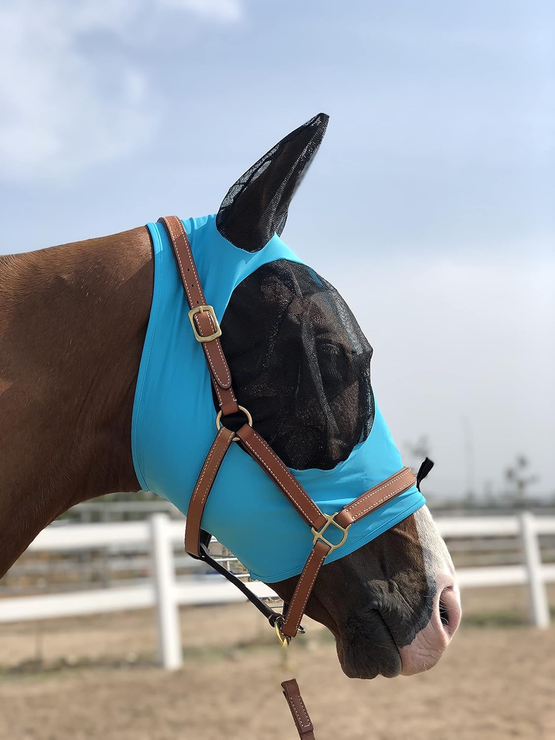 Horse Fly Mask Super Comfort Horse Fly Mask Elasticity Fly Mask with Ears We Only Make Products That Horses Like… (Pacific Blue, M)