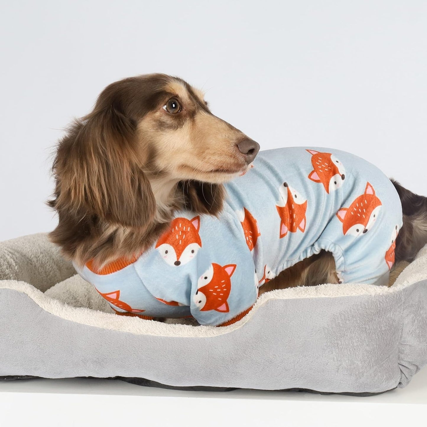 Fitwarm Funny Fox Dog Pajamas, Warm Dog Onesie, Dog Clothes for Small Dogs Girl Boy, Lightweight Velvet, Pet Outfit, Gray, Orange, Medium