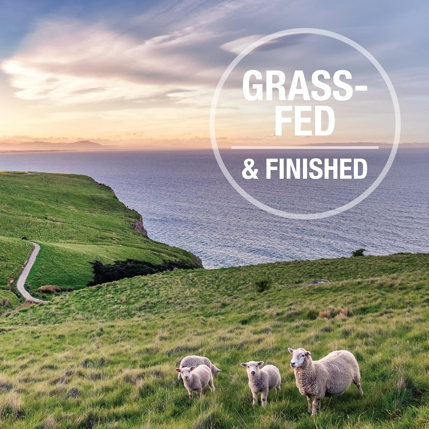 K9 Natural - Grain Free Freeze Dried Dog Food - Lamb, 4lb