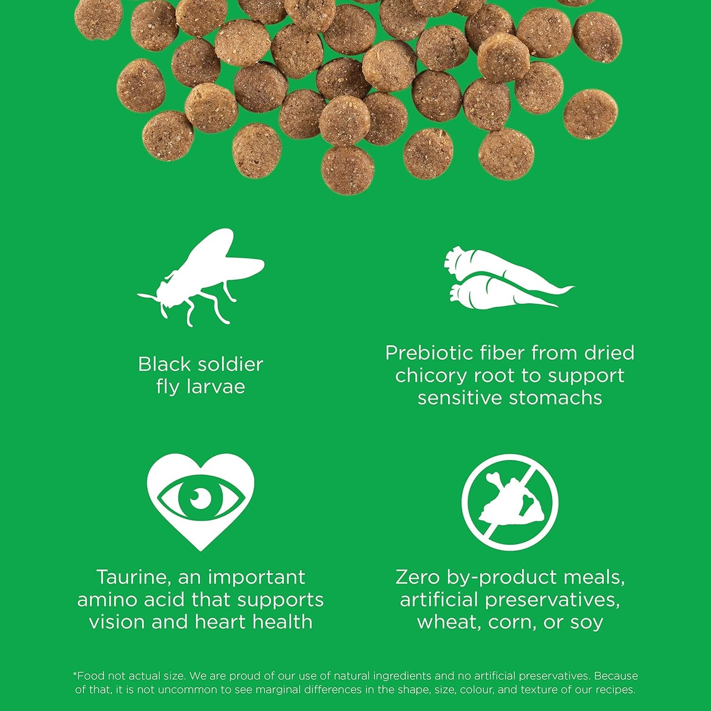 Go! Solutions Sensitivities Limited Ingredients, Grain-Free Dry Dog Food, Insect Recipe for Sensitive Stomach, 22 lb Bag