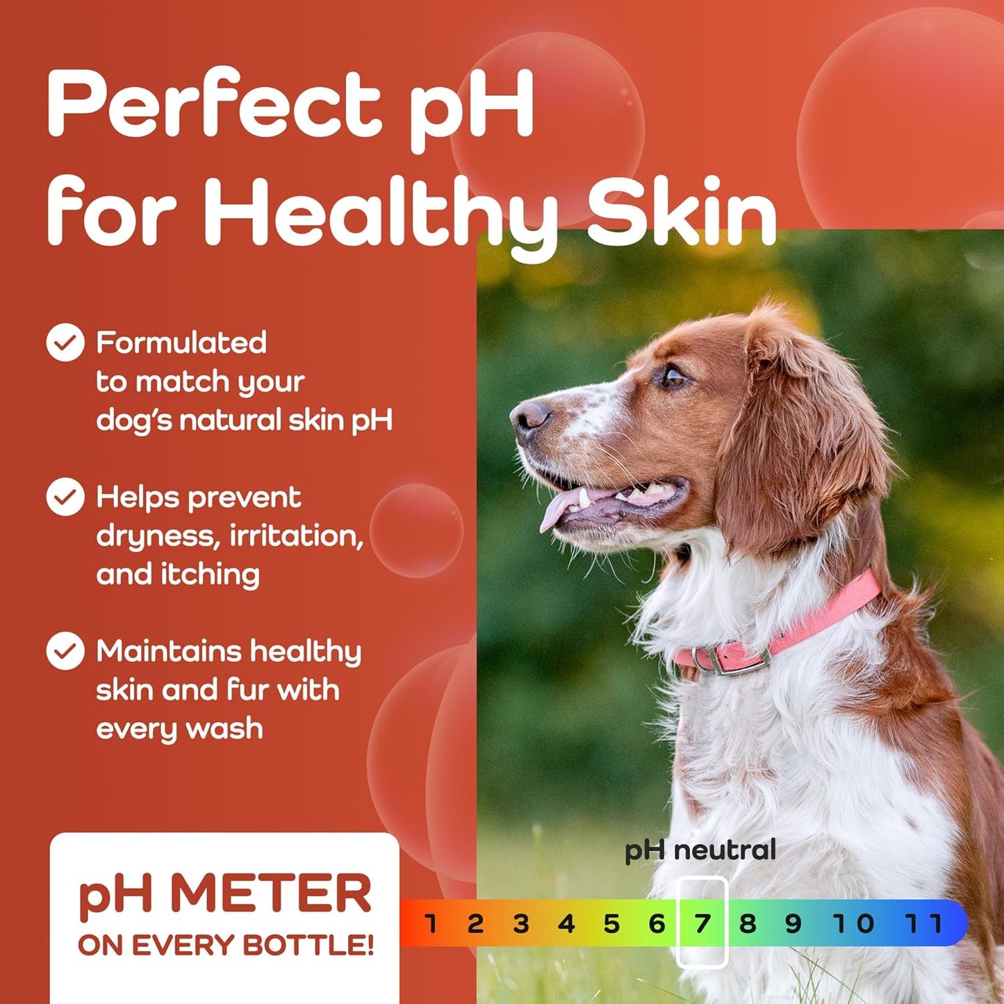 Sensitive Care -Tangle-Free-Silky Shine Softening and detangling Shampoo, Delicate Coat Clean & Odor Control Shampoo – Advanced Shine Formula for Dogs (Cavalier King Charles Spaniel, 16 Fluid Ounces)