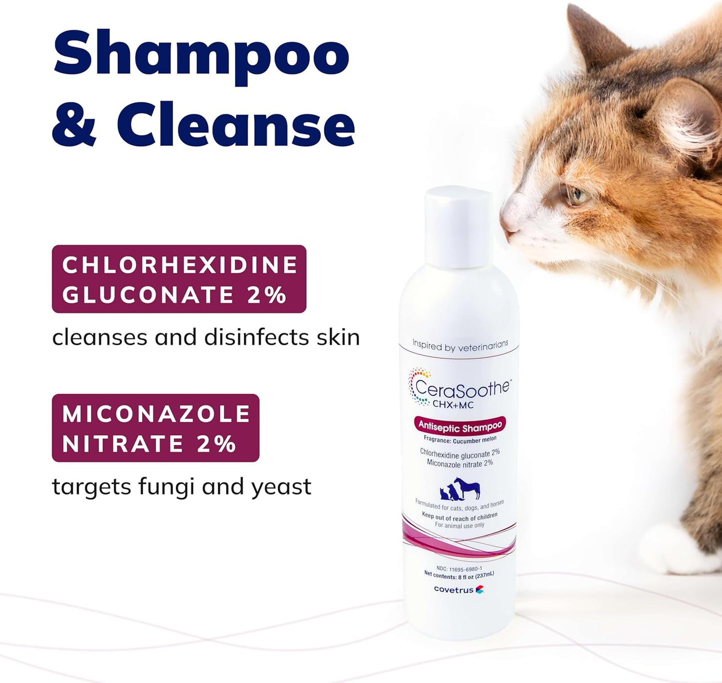 CeraSoothe® CHX+MC Antiseptic Shampoo 8oz