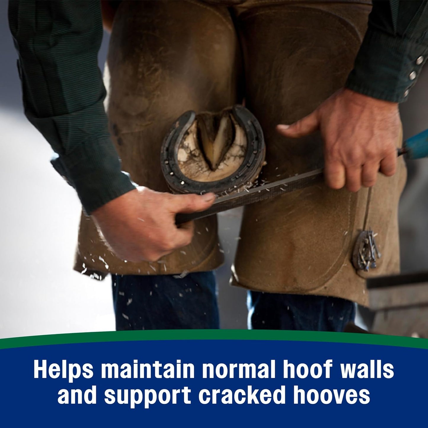 Farnam Horseshoer's Secret Pelleted Hoof Supplement for horses promotes healthy hoof growth, 11lb., 30 day supply