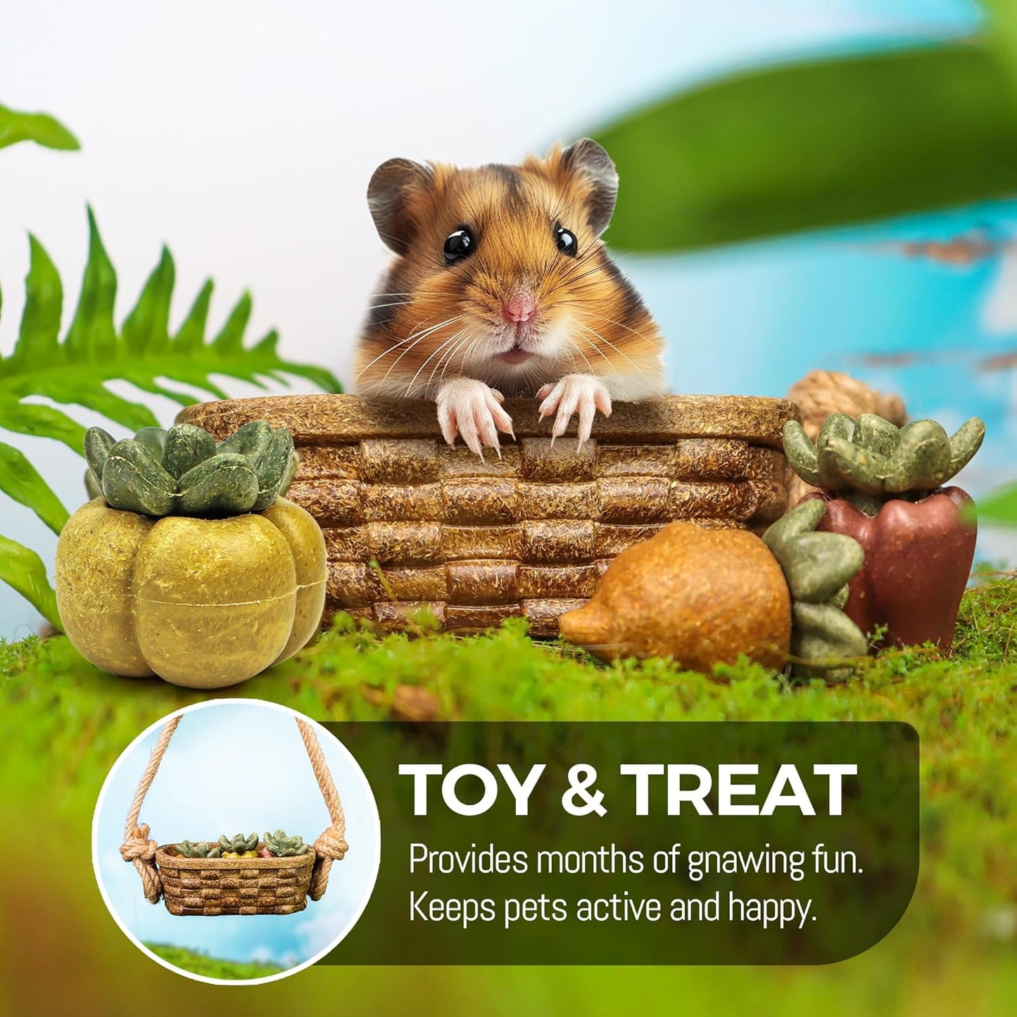 TEEWY Guinea Pig Chew Toys, Prevent Teeth Overgrowth, Natural Vegetables and Timothy Grass, Hamster Chew Toys, Chinchillas, Gerbils, Ha, Rabbit Rodents Teeth Care, Fruits & Vegetables & Basket Set
