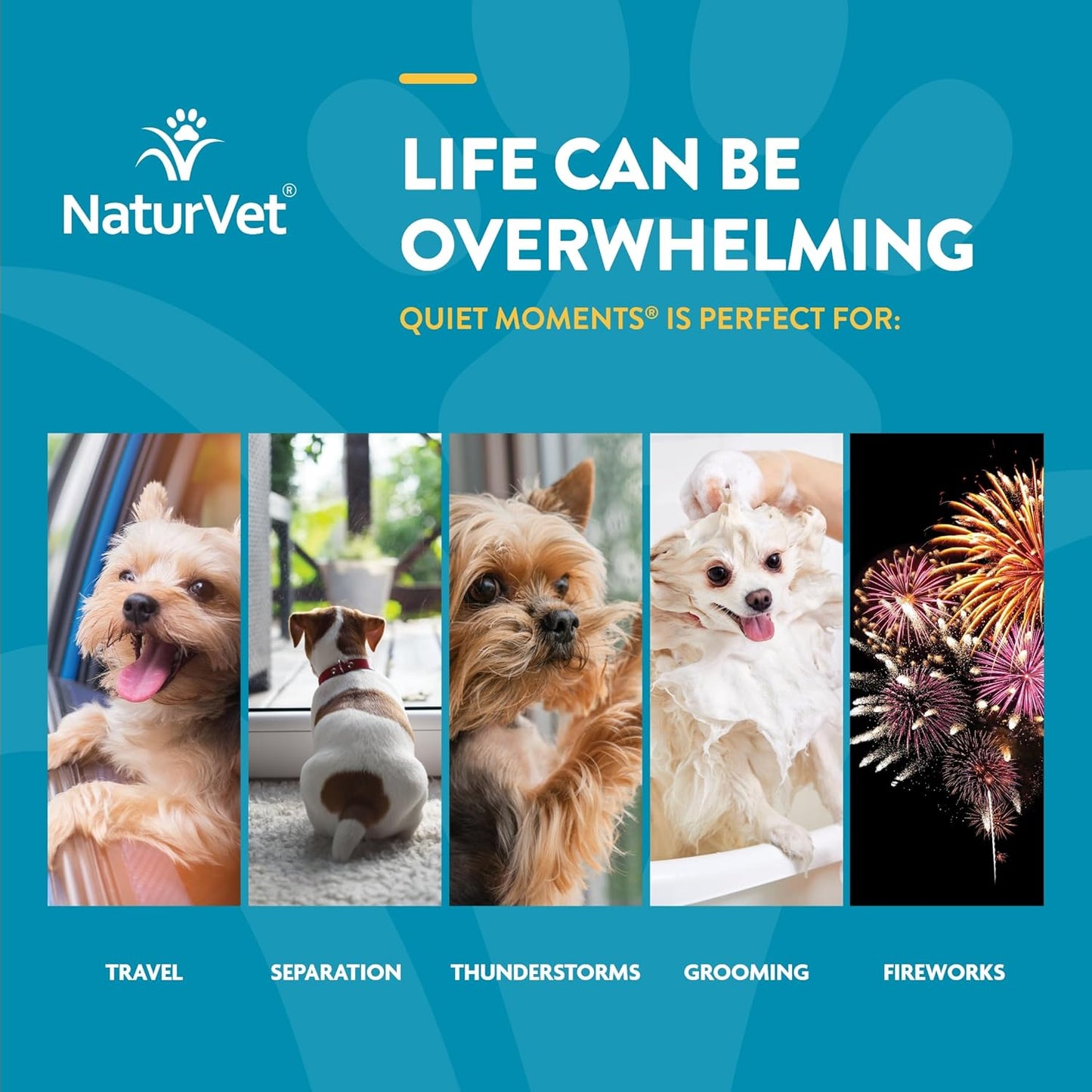 NaturVet Quiet Moments Calming Aid Melatonin Dog Supplement – Helps Reduce Stress in Dogs – for Pet Storm Anxiety, Motion Sickness, Grooming, Separation, Travel – 30 Ct. Tablets