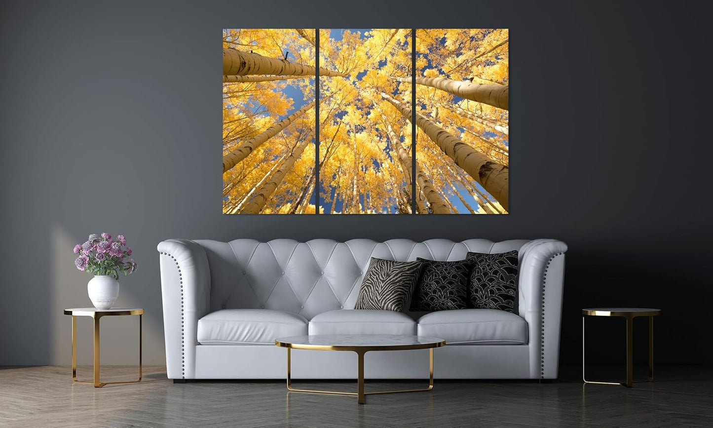 Nature Wall Art Prints - Ocean Forest Mountain Lake Canvas Landscapes - Small to Extra Large Living Room Bedroom Kitchen Bathroom Décor (Reaching for the Sky, 31L" x 47W" - 3 Panels)