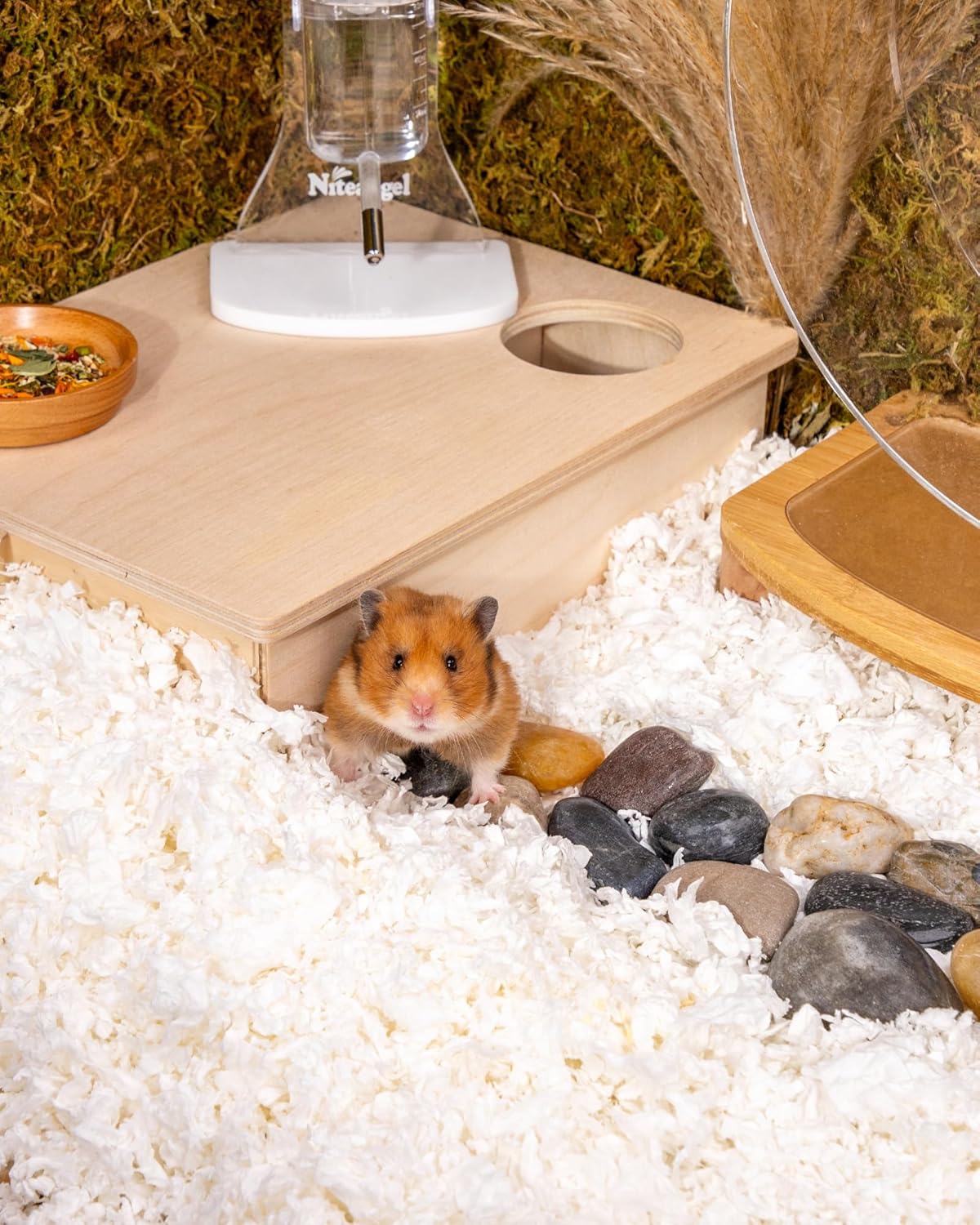 Niteangel Aspen Shaving Hamster Beddings for Syrian Dwarf Hamster Gerbil Mice Degu Rat Rabbit Bunny Guinea Pig Chinchilla Hedgehog or Other Small Pets (36L - White/Green Paper Bedding)