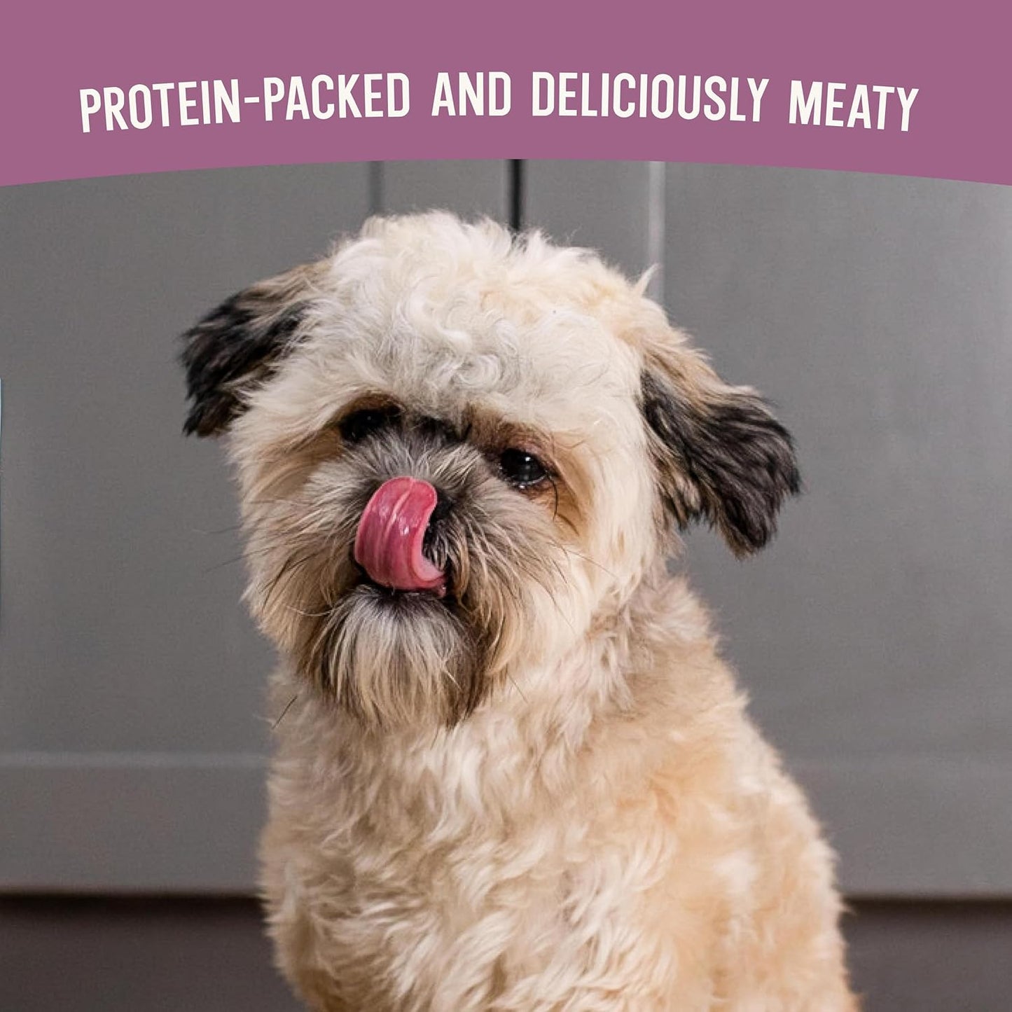 Open Farm, Air Dried Dog Food Infused with Bone Broth, Grain & Legume Free, Complete Meal or Food Topper, Pollock & Lamb Recipe, 2lb Bag