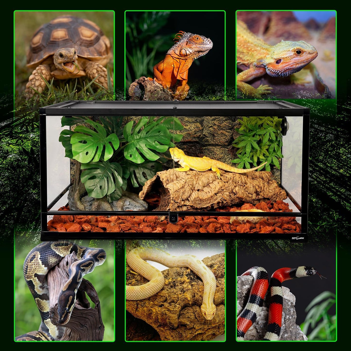REPTI ZOO 36" x 24" x 18" Glass Reptile Terrarium, Front Opening Reptile Habit Tank with Double Hing Doors, Knock-Down Terrarium with Top Screen Ventilation 68 Gallon
