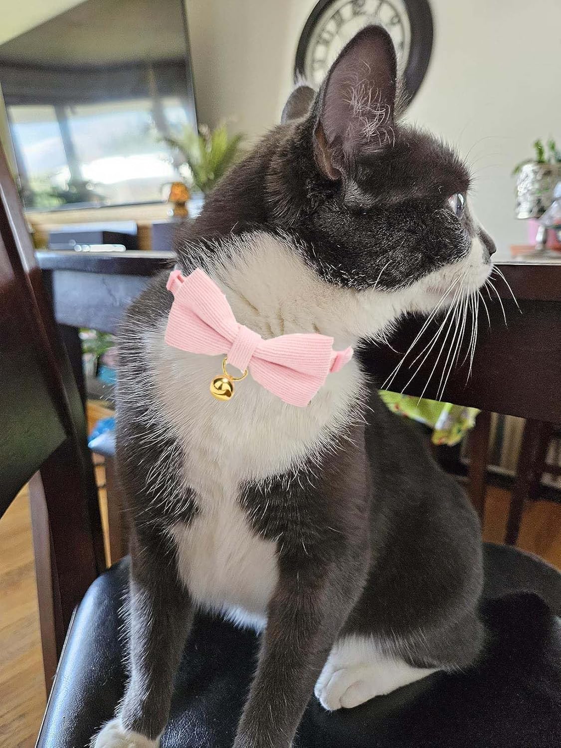 2 Pack Soft Corduroy Cat Collars with Bow Tie & Bell, Adjustable Breakaway Cotton Kitty Bowtie Collar for Female Male Cats(Grass Green & Pink)