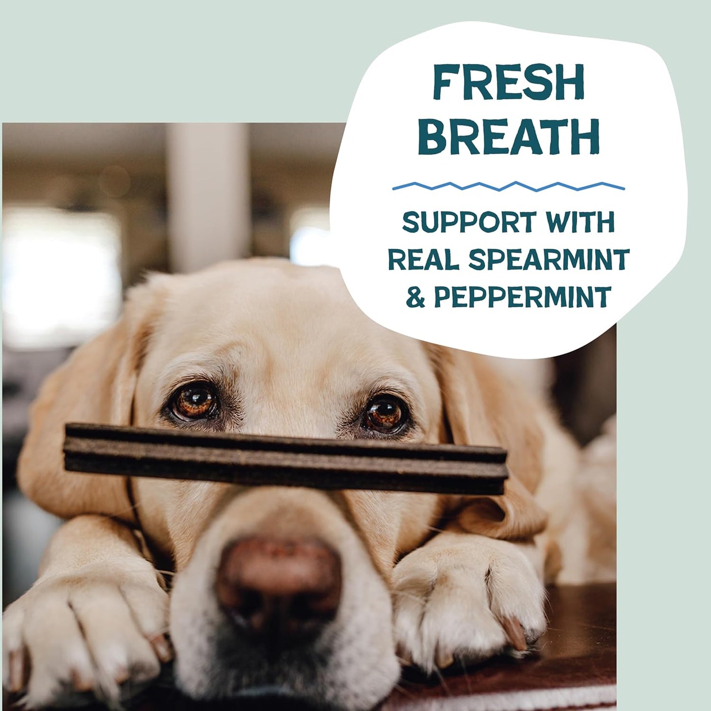 Shameless Pets Dental Treats for Dogs, Variety (4-Pack) - Healthy Sticks for Teeth Cleaning & Fresh Breath - Dog Bones Dental Chews Free from Grain, Corn & Soy