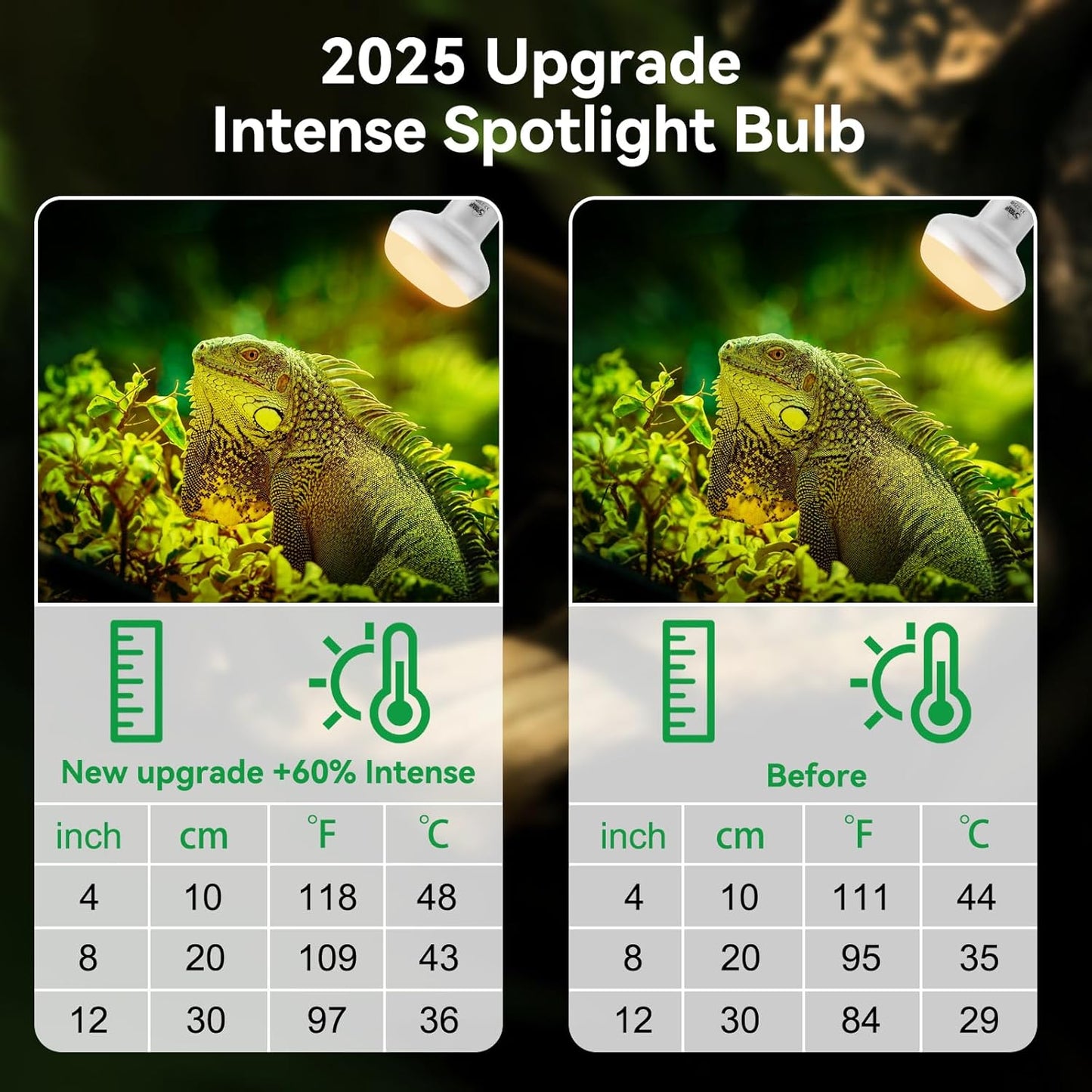 LUCKY HERP Intense Heat Lamp Bulbs for Reptiles 75W 2 Pack, UVA Daylight Reptile Heat Lamp, Reptile Basking Heat Light Bulb for Amphibian, Tortoise, Bearded Dragon, Lizard, Turtle, Snake Heating Use
