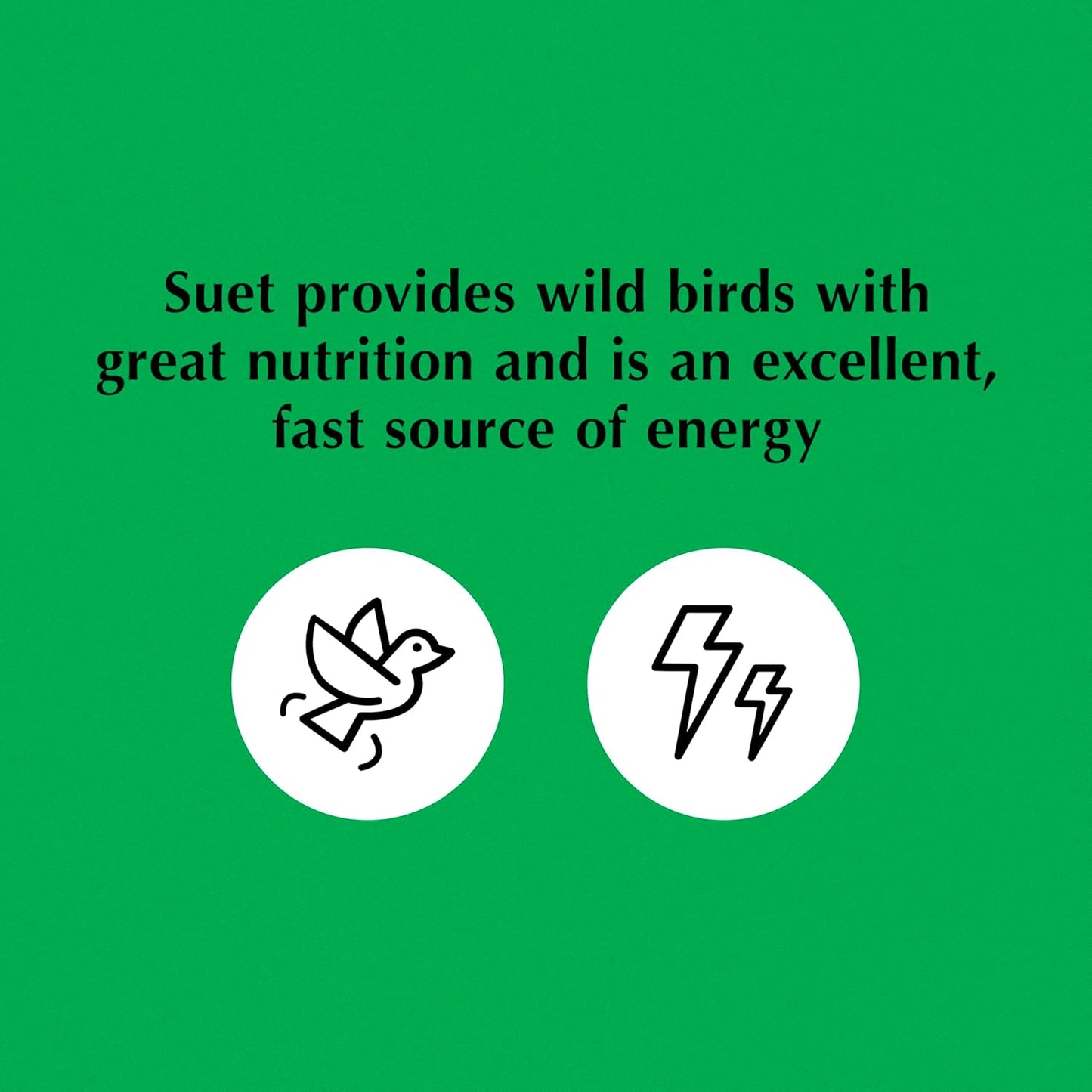 C&S Orange Delight No Melt Suet Dough 11.75 Ounces 8 Pack