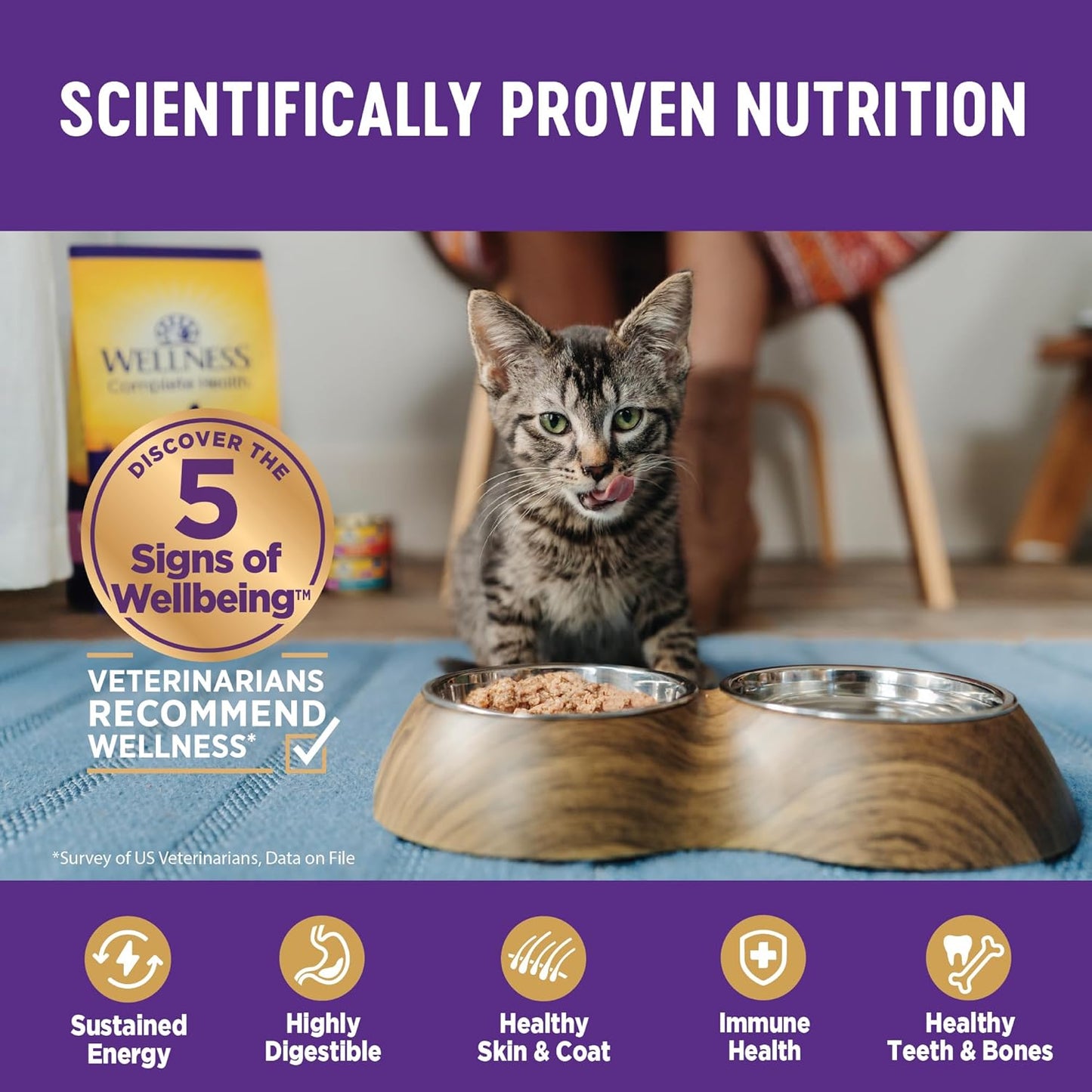 Wellness Complete Health Gravy Adult Wet Cat Food, Natural, Protein-Rich, Grain Free, 3 Ounce, 12 Pack, (Chicken Dinner)