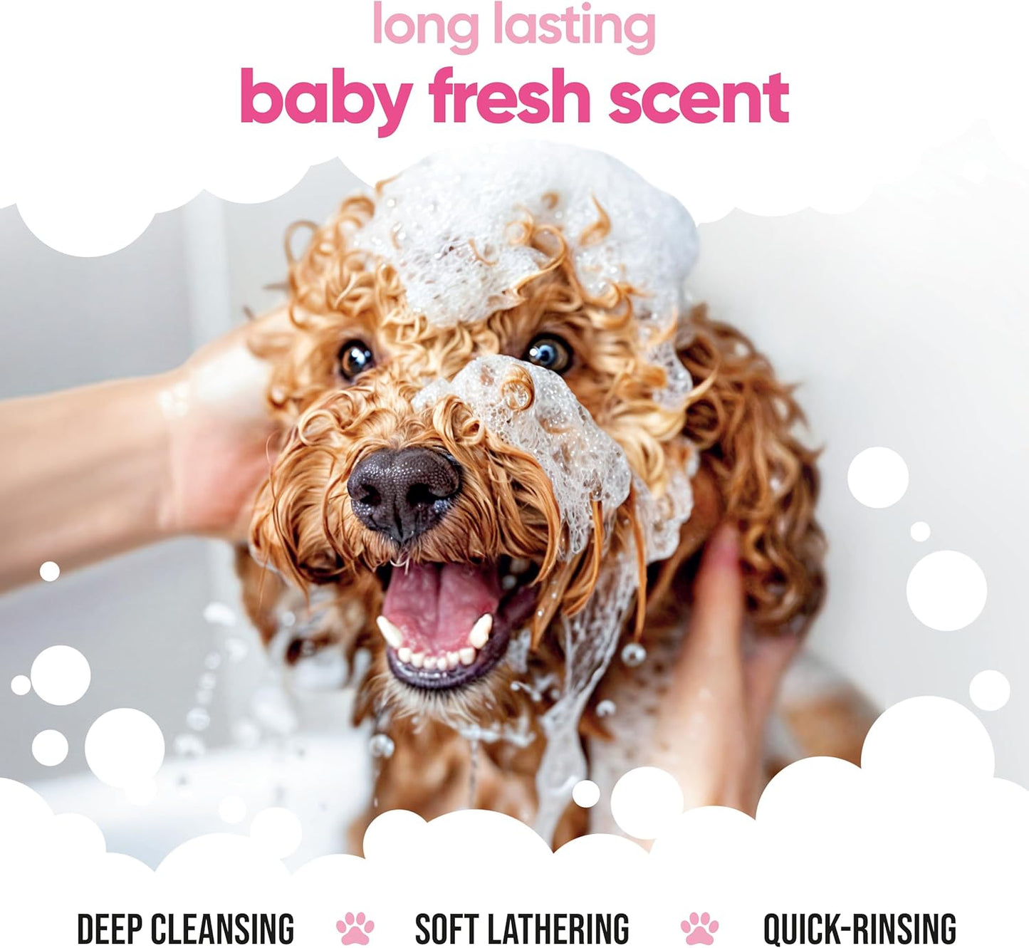 Baby Fresh Dog Shampoo by Buddycare | Deep Cleansing Shampoo for Dogs | Fresh Scented | with Aloe Vera and Pro Vitamin B5 (16.90oz)