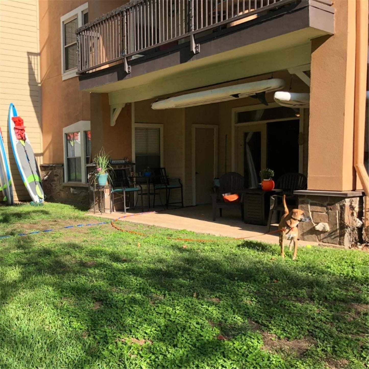 Dog/Puppy Obedience Recall Training Agility Lead - 15ft 20ft 30ft 40ft 50ft Training Leash - Great for Play, Camping, or Backyard (Brown, 40 Feet)