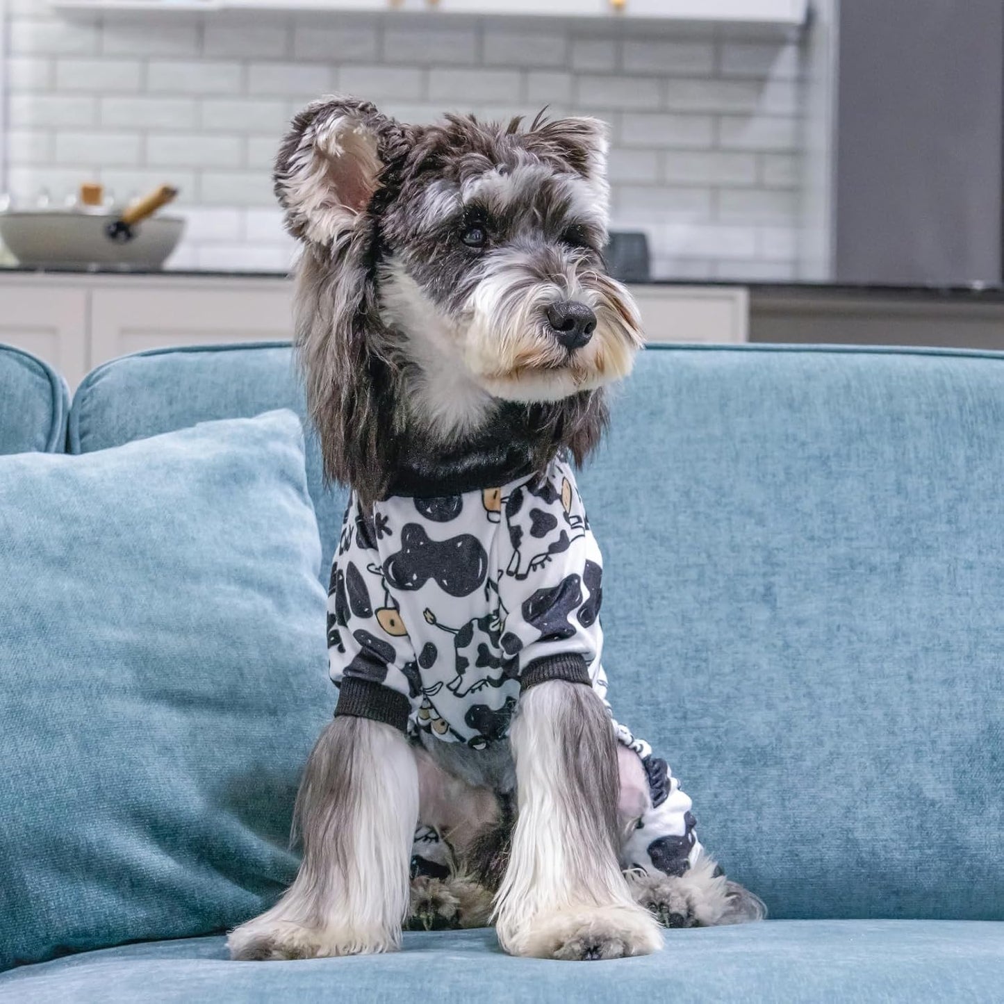 CuteBone Dog Halloween Pajamas Puppy Onesies Small Dogs Soft Pjs Coat Cat Apparel Comfy Pet Christmas Clothes Outfit Doggie Bodysuit P281M