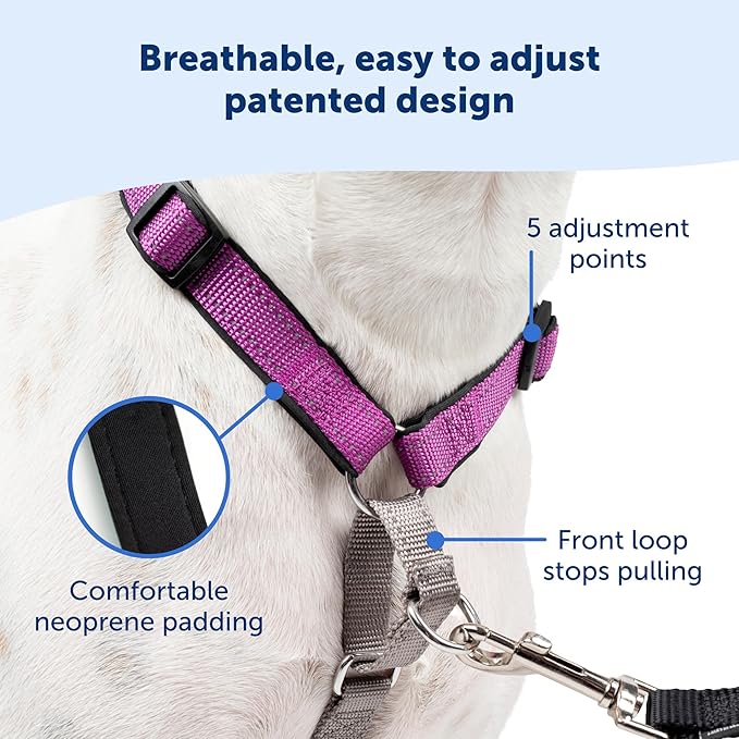 PetSafe 3 in 1 Dog Harness - No Pull Solution for Dogs - Reflective Dog Harness - Front D-Ring Clip Helps Stop Pulling - Comfortable Padded Straps - Top Handle Enhances Control - Plum - Large