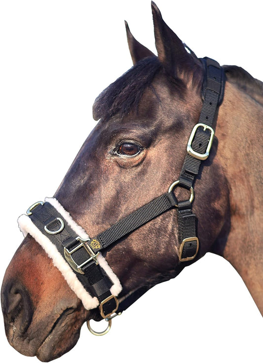 T TEKE Lunge Cavesson with Fleece Lined Nose Band and Crown