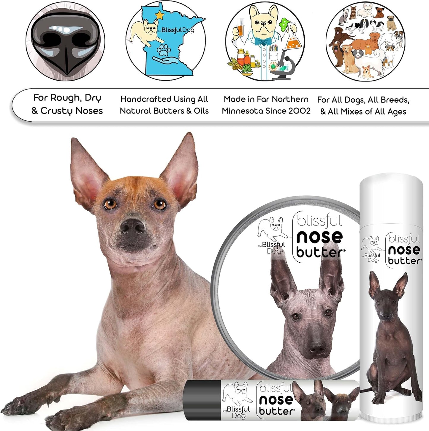 The Blissful Dog Xoloitzcuintli Nose Butter for Dry, Cracked Skin, Lick-Safe Dog Nose Balm with Moisturizing Shea Butter, Almond, Olive, and Essential Oils, Pet Supplies, Uncented, 4 oz.