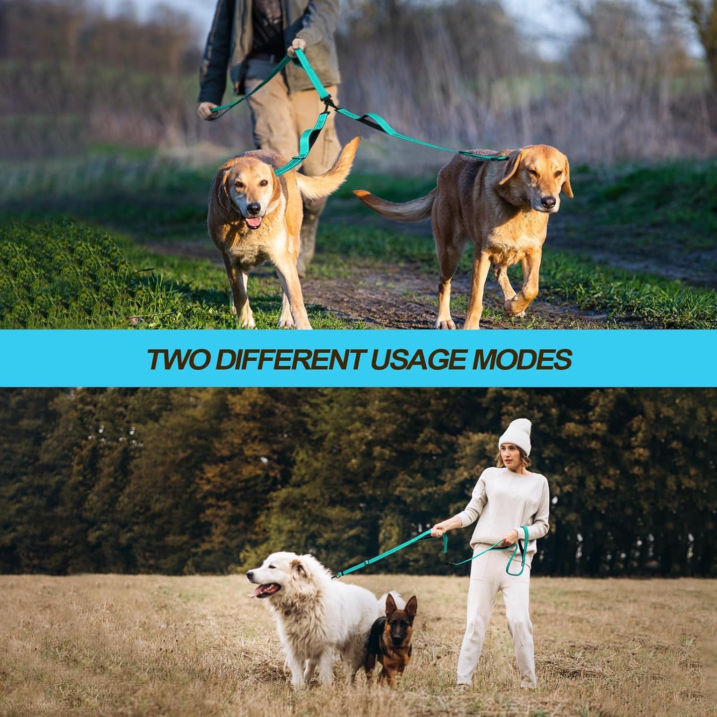 PetBonus Double Dog Leash, No Tangle Dual Leash, Reflective Walking Training Lead, 4 Comfortable Padded Handles for 2 Dogs with Collapsible Bowl and Waste Bags (Turquoise, Large)