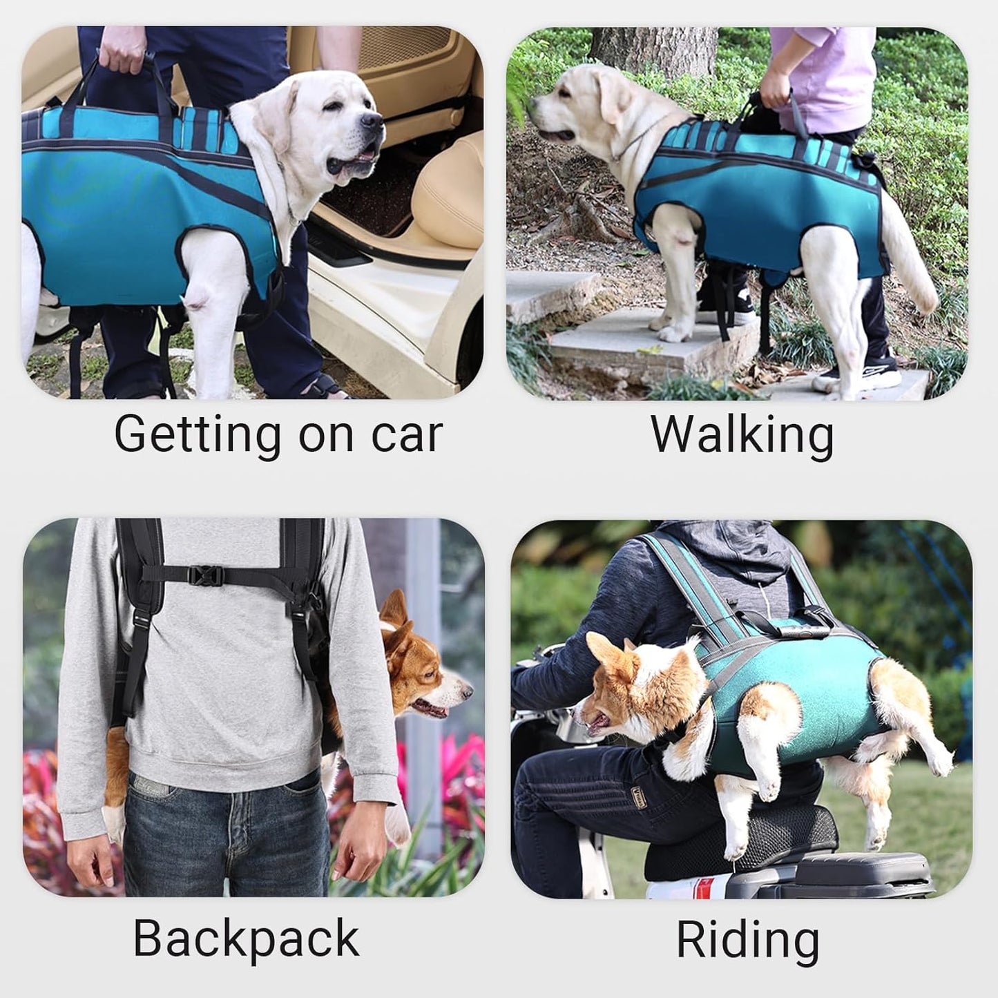 Dog Lift Harness Backpack Carrier for Large Dogs, Full Body Sling with Handle, Dog Harness for Joint Injuries, Arthritis, Ideal for Stairs, Elderly Dogs (Blue XXX-Large 66-83 LBS)