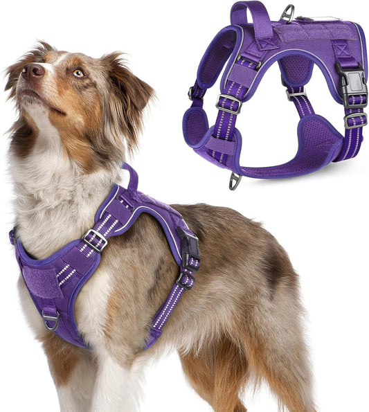 rabbitgoo Tactical Dog Harness Medium Sized Dog, No Pull Military Service Vest with Handle & Molle, Easy Control for Training Walking, Adjustable Reflective Straps, Purple, M