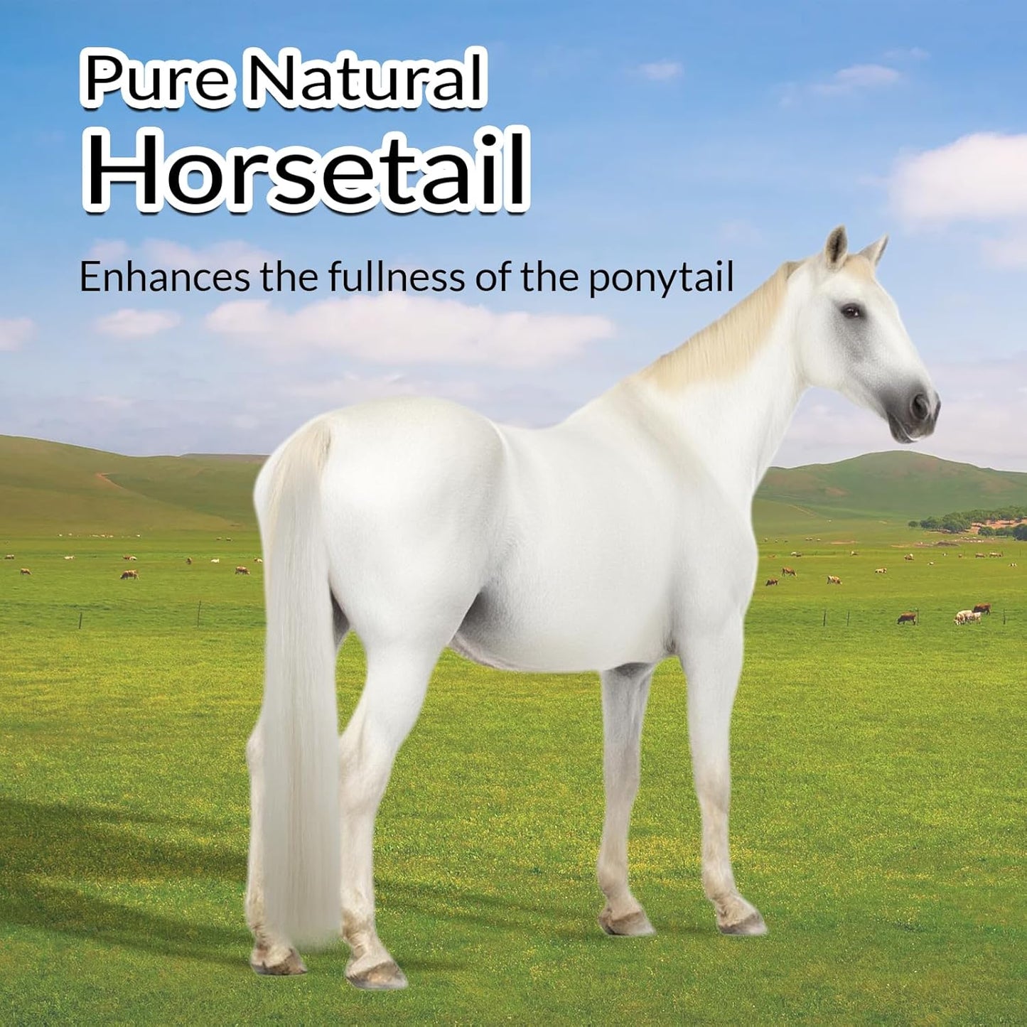 Horse Tail Extension with Braided Horsehair Loop, Blunt Cut Bottom, 3/8 lb, 28-30 inches (Pure White)