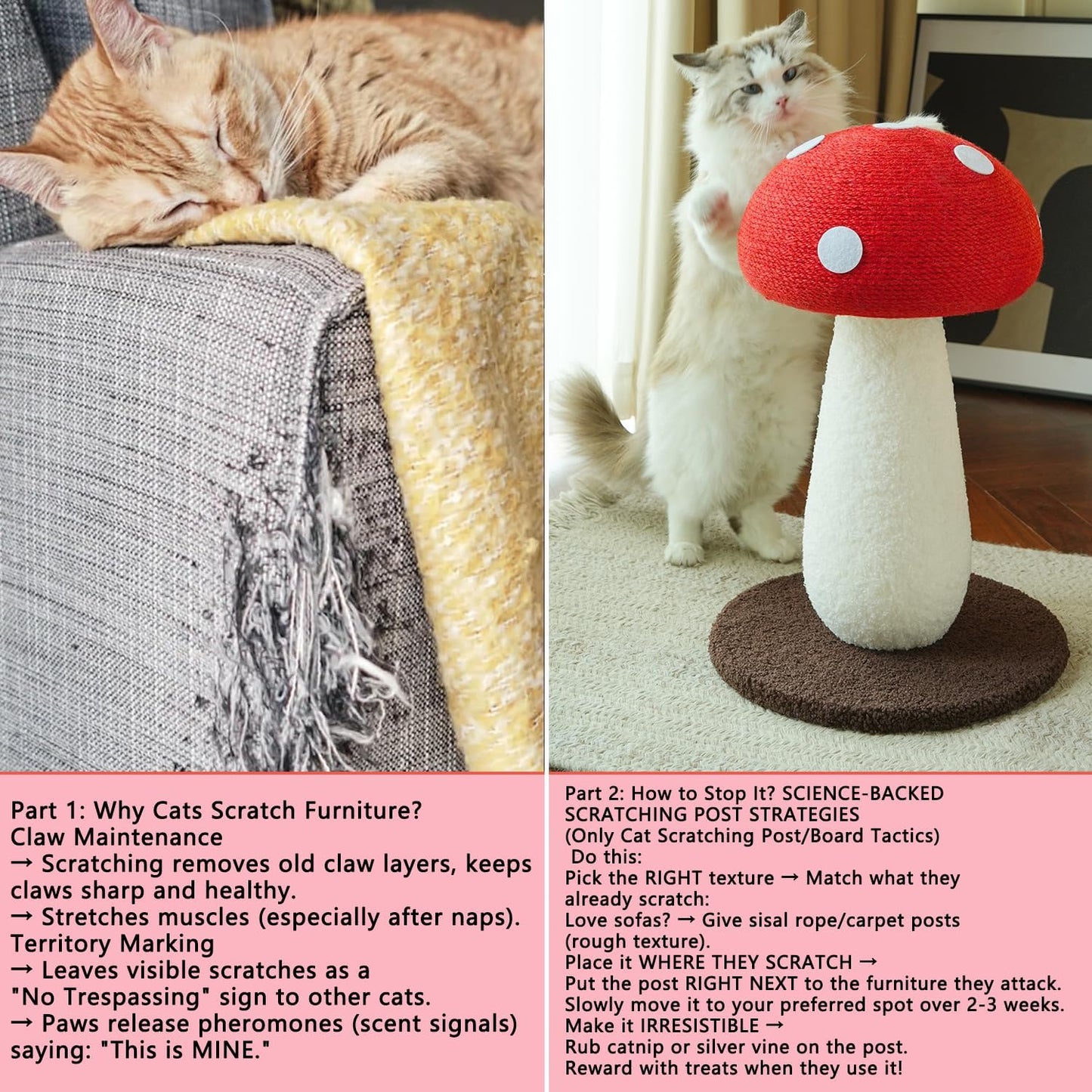 Mushroom Cat Scratcher, Cute Cat Scratching Post, Durable Sisal Rope Cat Scratching Board, Kitten Tree, Cat Toy for Cats to Play and Care for Their Claws, No Assembly Required (Red, Big, 7)