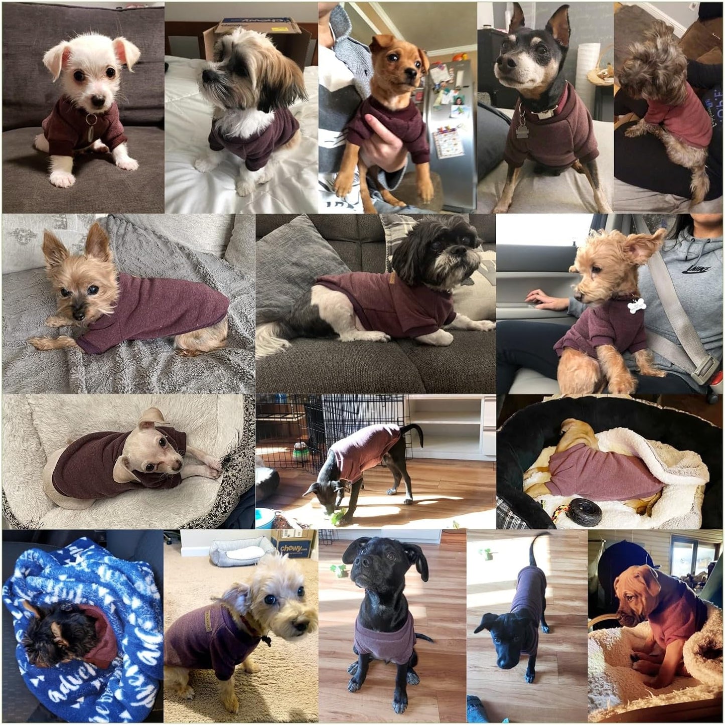 Jecikelon Dog Clothes Dogs Sweater Soft Puppies Clothing Winter Puppy Sweaters Warm Outfit for Dogs Small XXS XS Cat Apparel (Brown, XX-Small)