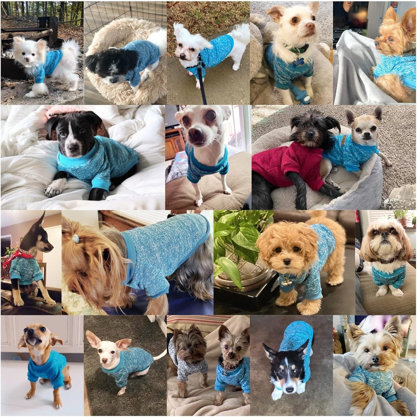 Jecikelon Dog Clothes Dogs Sweater Soft Puppies Clothing Winter Puppy Sweaters Warm Outfit for Dogs Small XXS XS Cat Apparel (Light Blue, XXS)