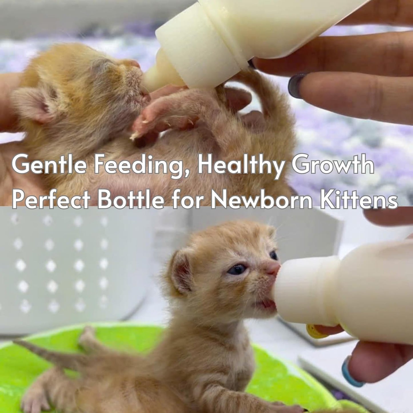 Newborn & Senior Pet Feeding Kit, Kitten/Puppy Bottle (50ml), Syringe with Silicone Nipple, Oral Dosing Syringe, Soft BPA-Free Nipples, Medicine Dispenser & Travel Case for Cats Dogs Rabbits Squirrels