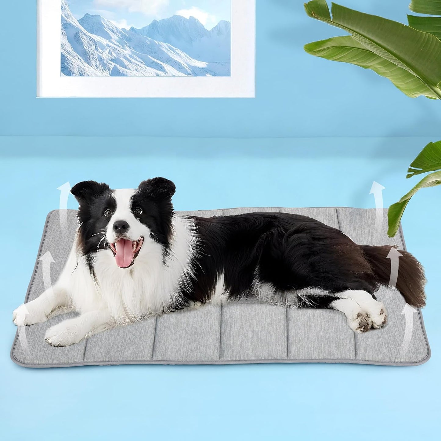 Dog Cooling Mat for Large Dogs - 35x23 Orthopedic Memory Foam Pet Pad for Summer, QMAX>0.5, Washable Premium Comfort Crate Pad for Your Furry Companion, Grey,