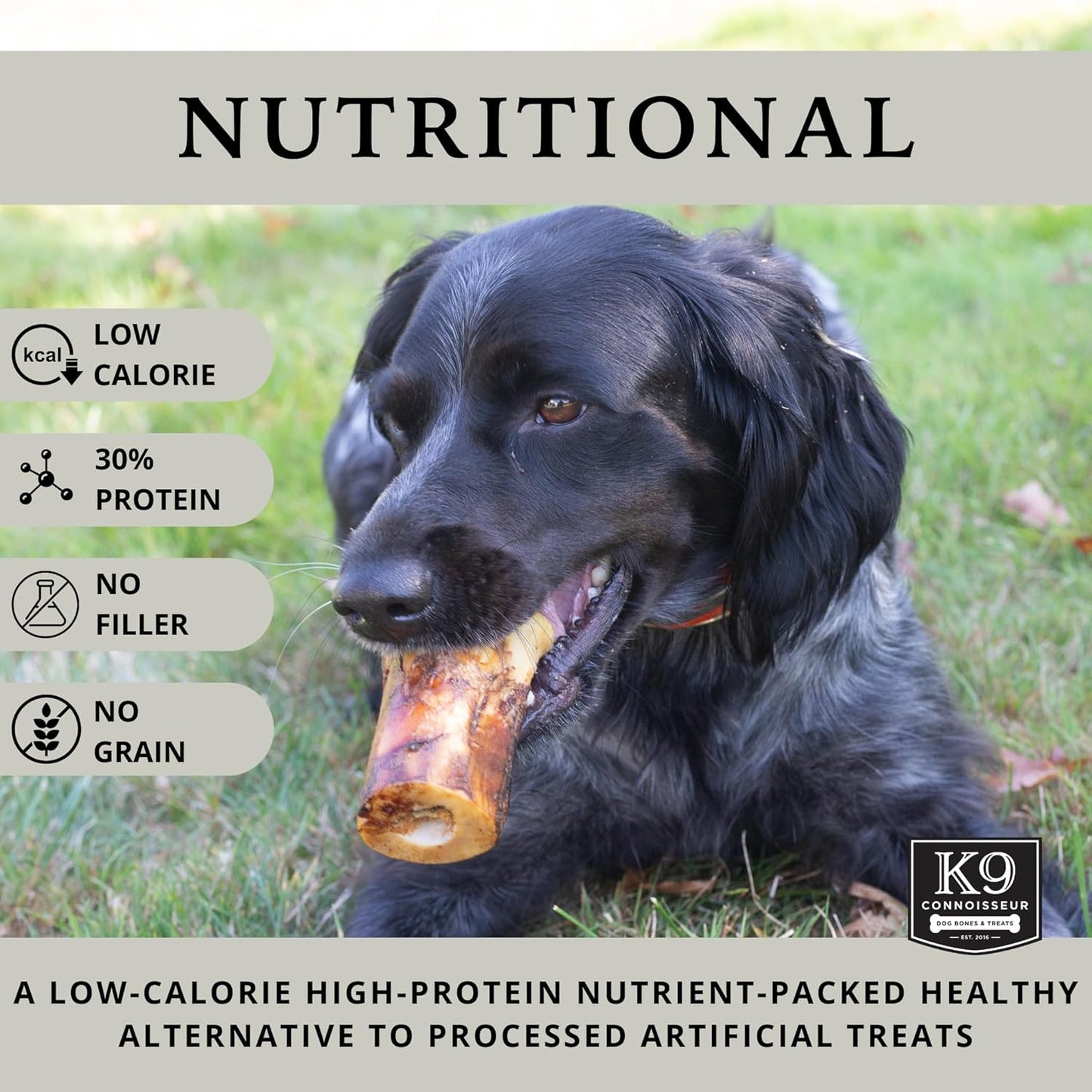 K9 Connoisseur Dog Bones Made in USA for Large Breed Aggressive Chewers All Natural Long Lasting Meaty Mammoth Marrow Filled Bone Chew Treat Best for Dogs Over 50 Pounds (4 Pack)
