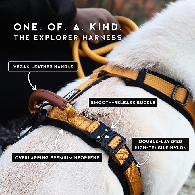 MADE TO ROAM Premium Explorer Harness - Y-Shaped Dog Harness with Adjustable Durable Nylon, Soft Padding, Metal Buckles and Leather Handle for Small, Medium, Large Dogs (Maine Marina, Size 7)