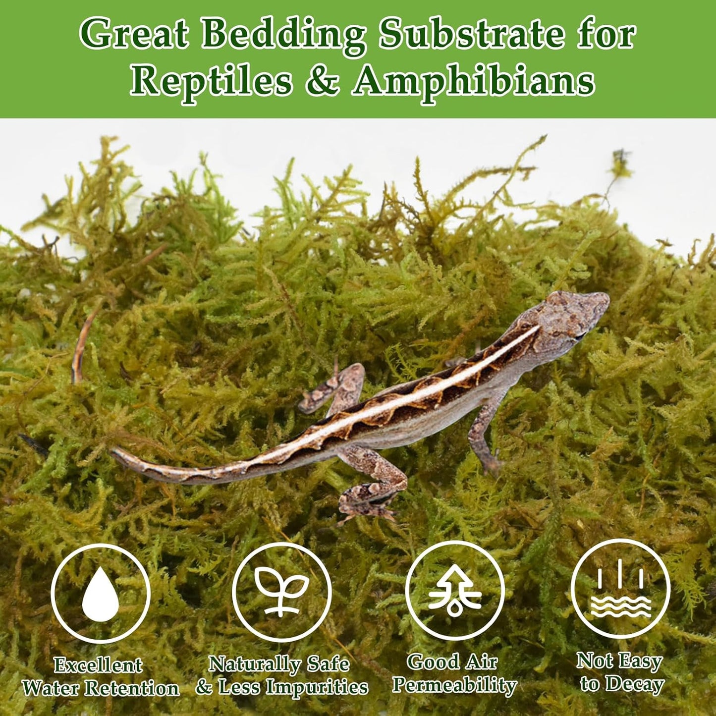 Halatool 2.5LB Natural Sphagnum Moss for Reptiles- 60QT Green Live Moss for Terrarium Plants Long Fiber Reptile Moss for Leopard Gecko Snake Hamsters Tortoises Frogs Lizards Salamanders