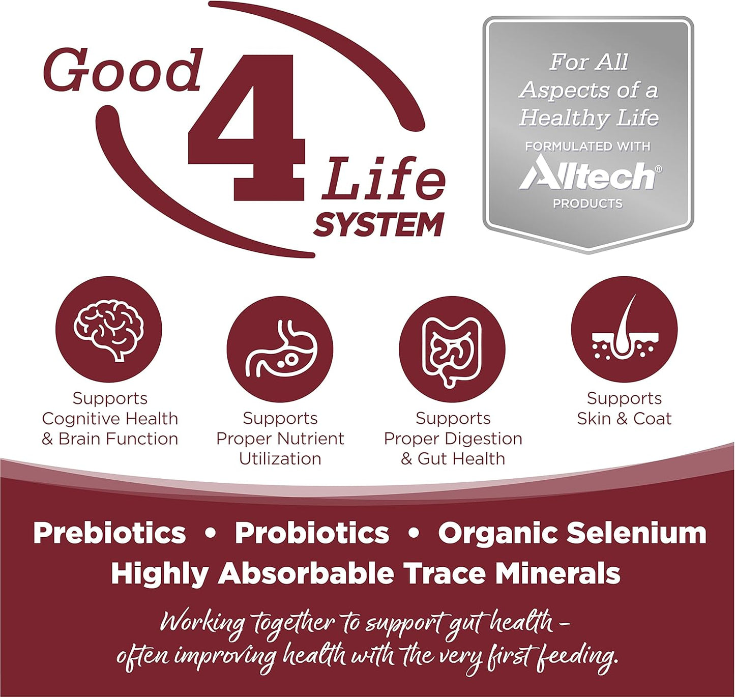 NutriSource Dog Food, Made with Beef and Brown Rice, with Wholesome Grains, 15LB, Dry Dog Food