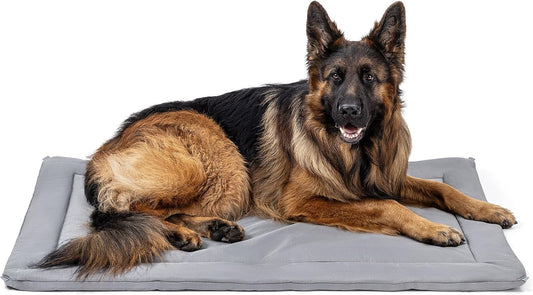 Cybarmour Chew Proof Dog Crate Pad - Outdoor Indestructible Dog Bed - Tough - Potable - Machine Washable - Water & Dirt-Resistant - Extra Large Breeds & Fits 48-Inch Crate - 47"x29", Limestone