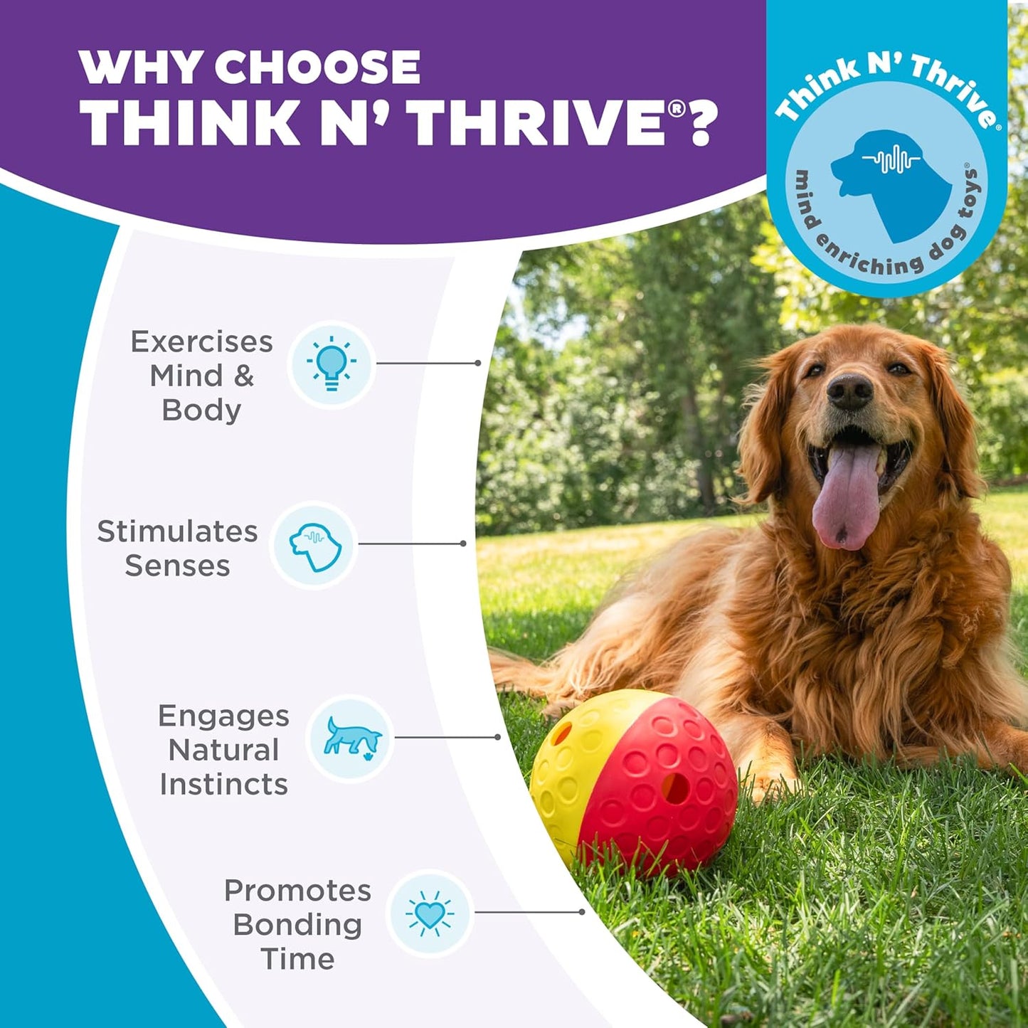 Outward Hound by Nina Ottosson Treat Tumble Interactive Puzzle Ball Dog Toy, Level 1 Beginner, Pink, Large (5.75" Diameter)