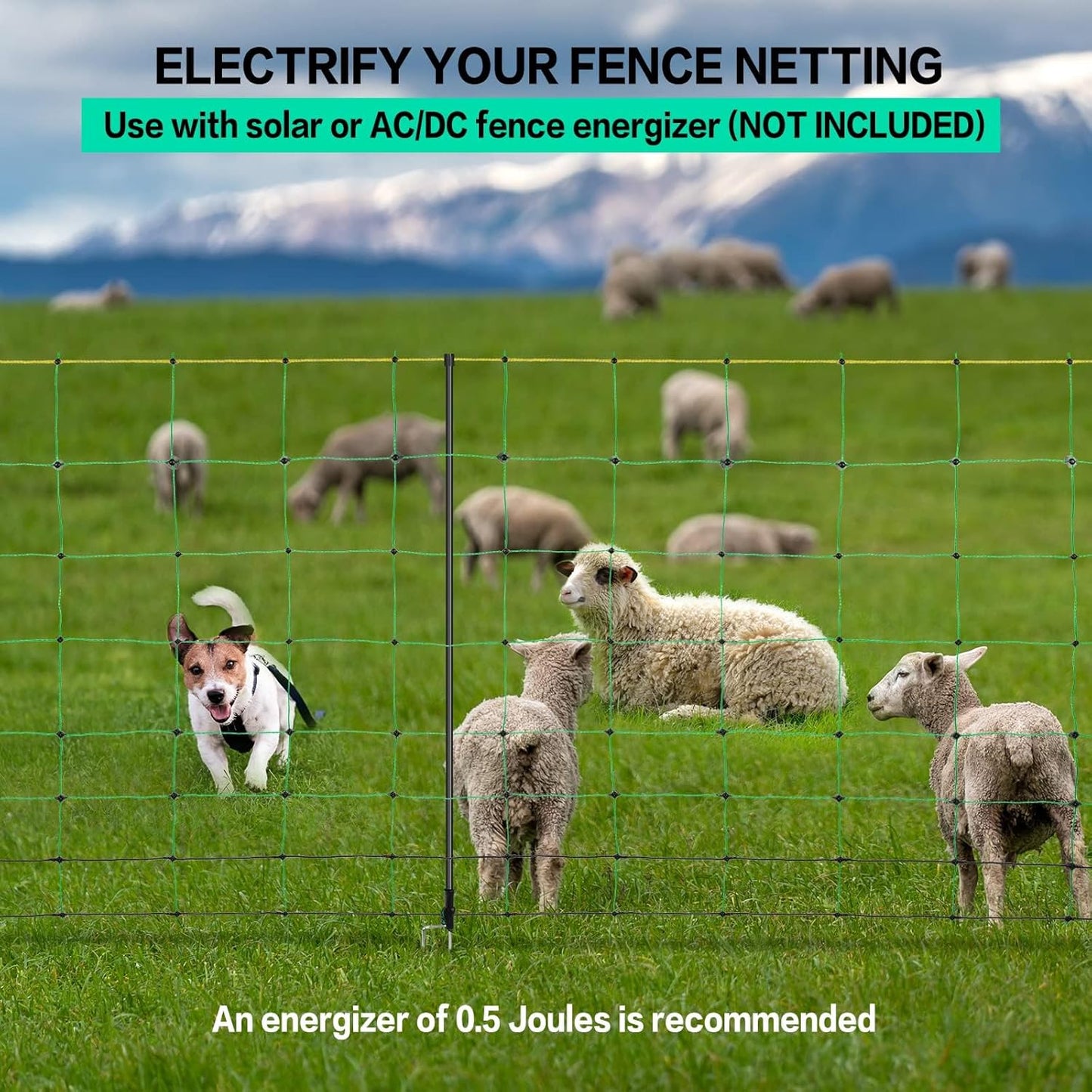 Electric Fence Netting, 49.6" H x 164' L, PE Net Fencing Kit with 14 Posts Double Spiked, Utility Portable Mesh for Sheep Hogs Goats Deer Dogs Lambs Used in Backyards Farms Ranches Patio, Green