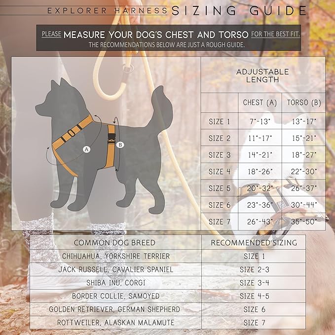 MADE TO ROAM Premium Explorer Harness - Y-Shaped Dog Harness with Adjustable Durable Nylon, Soft Padding, Metal Buckles and Leather Handle for Small, Medium, Large Dogs (New York Afterlight, Size 5)