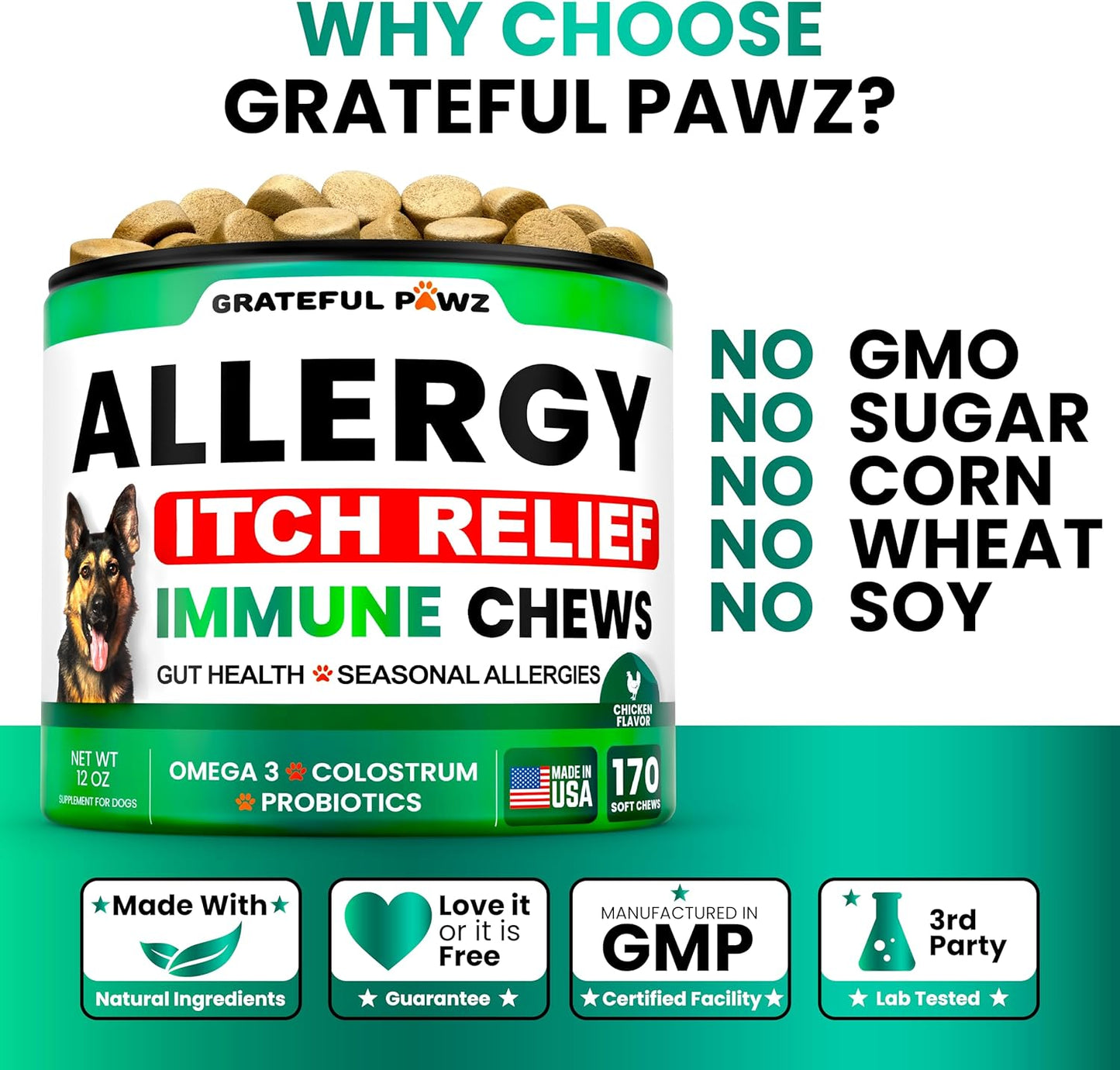 Dog Allergy Relief Chews - Dog Itching Skin Relief Treatment - 170 Chews - Anti-Itch, Hot Spots, Paw Licking - Immune Health - Omega 3 Fish Oil - Dry Itchy Skin and Coat Supplement - Made in USA