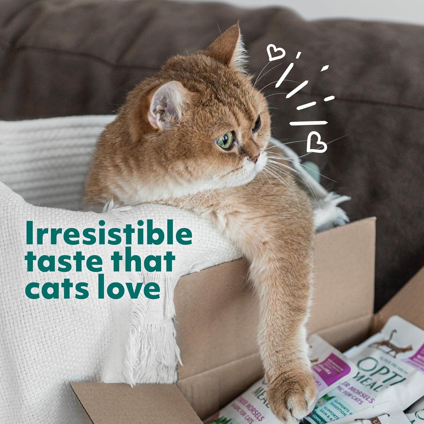 OPtimeal Indoor Cat Dry Food- Chicken & Brown Rice Healthy Recipe Cat Food Dry for Adult Cats - Proudly Ukrainian