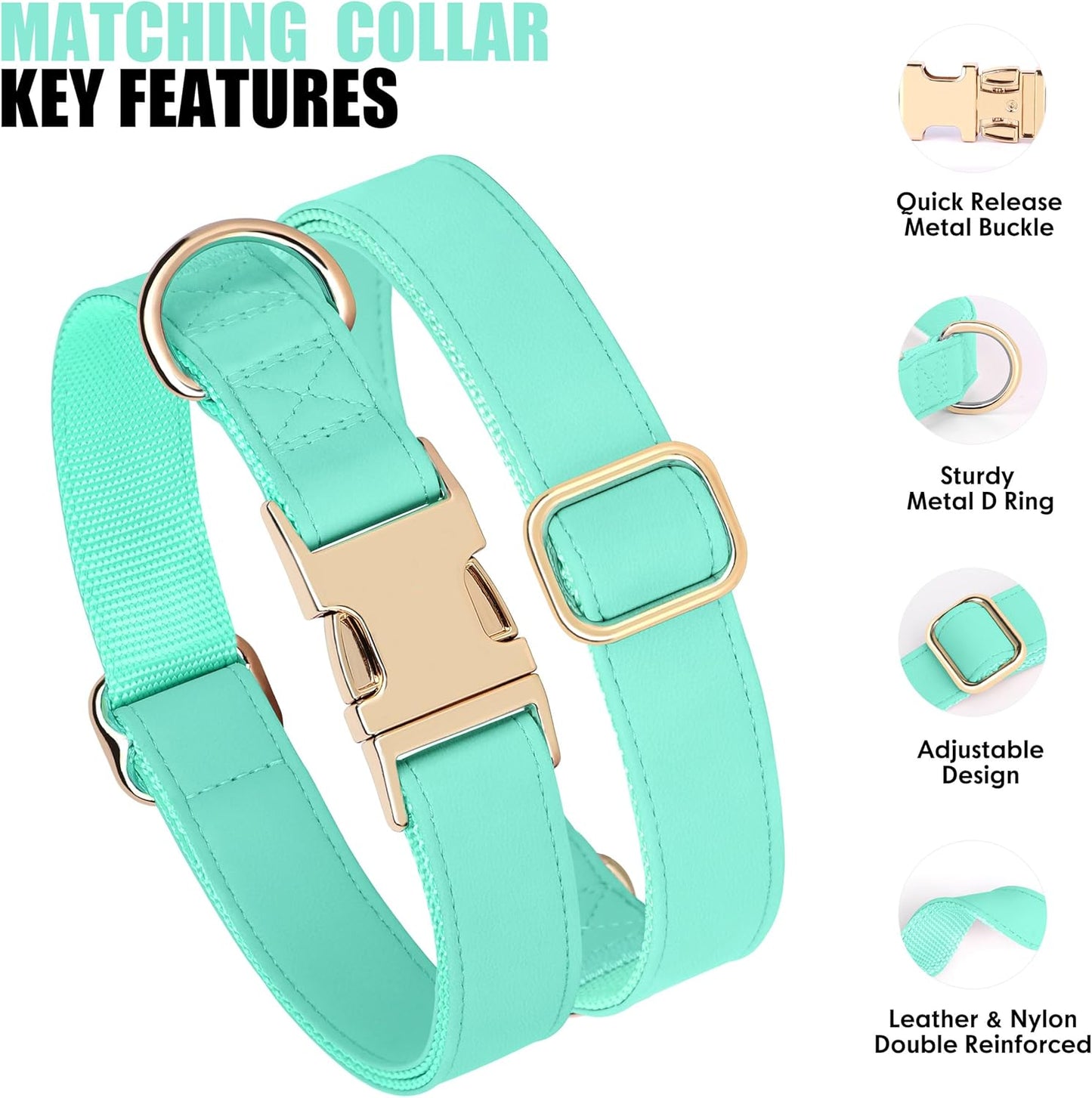 PET ARTIST Soft PU Leather Dog Collar, Bright Color & Durable Dog Collar Leather with Rose Gold Quick Release Metal Buckle, Adjustable Nylon Padded Pet Collars for Small Dogs, Neck Fit 9-14"