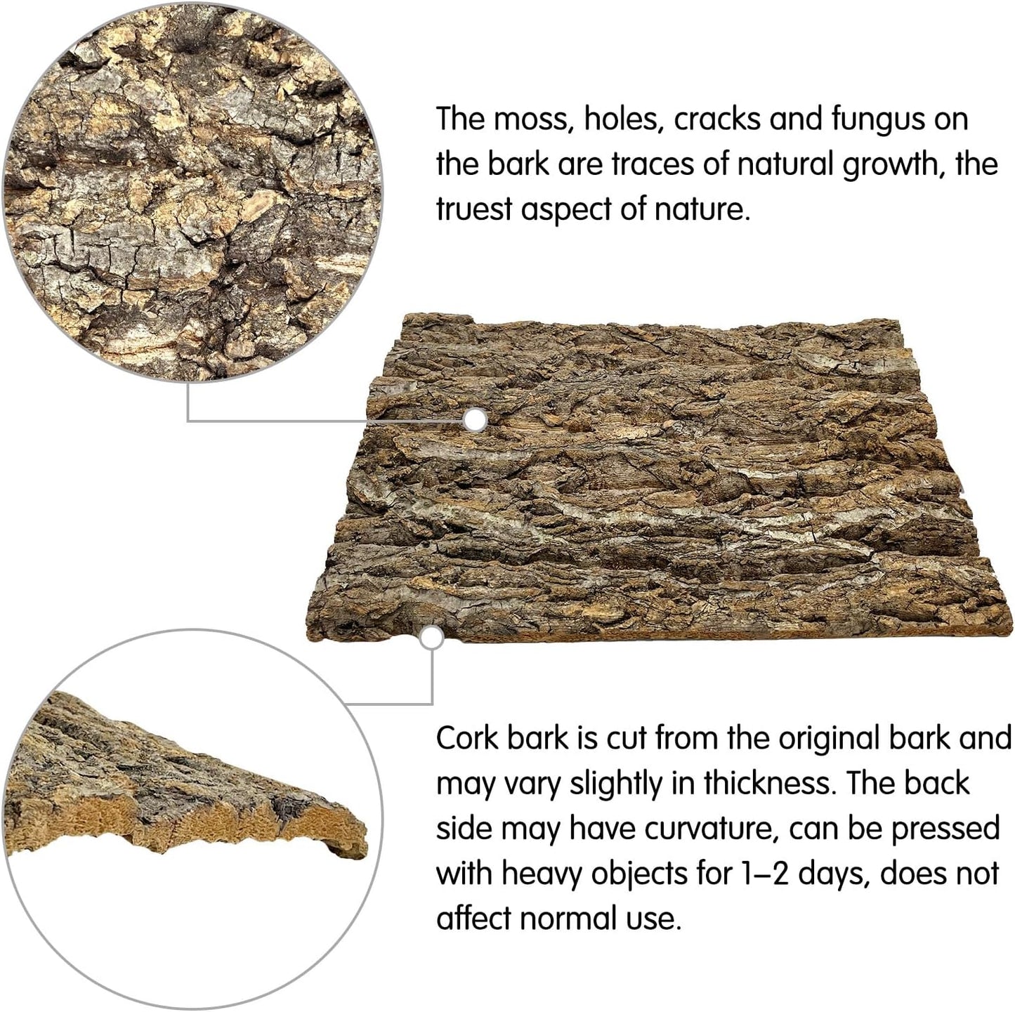 kathson 8Pcs Cork Tile Background Bark 11.8”Lx7.9”W Reptile Tank Background Terrarium Backdrop Wall Decor Natural Reptile Climbing Mat for Spider Gecko Lizard Chameleon Bearded Dragon Turtle Snake