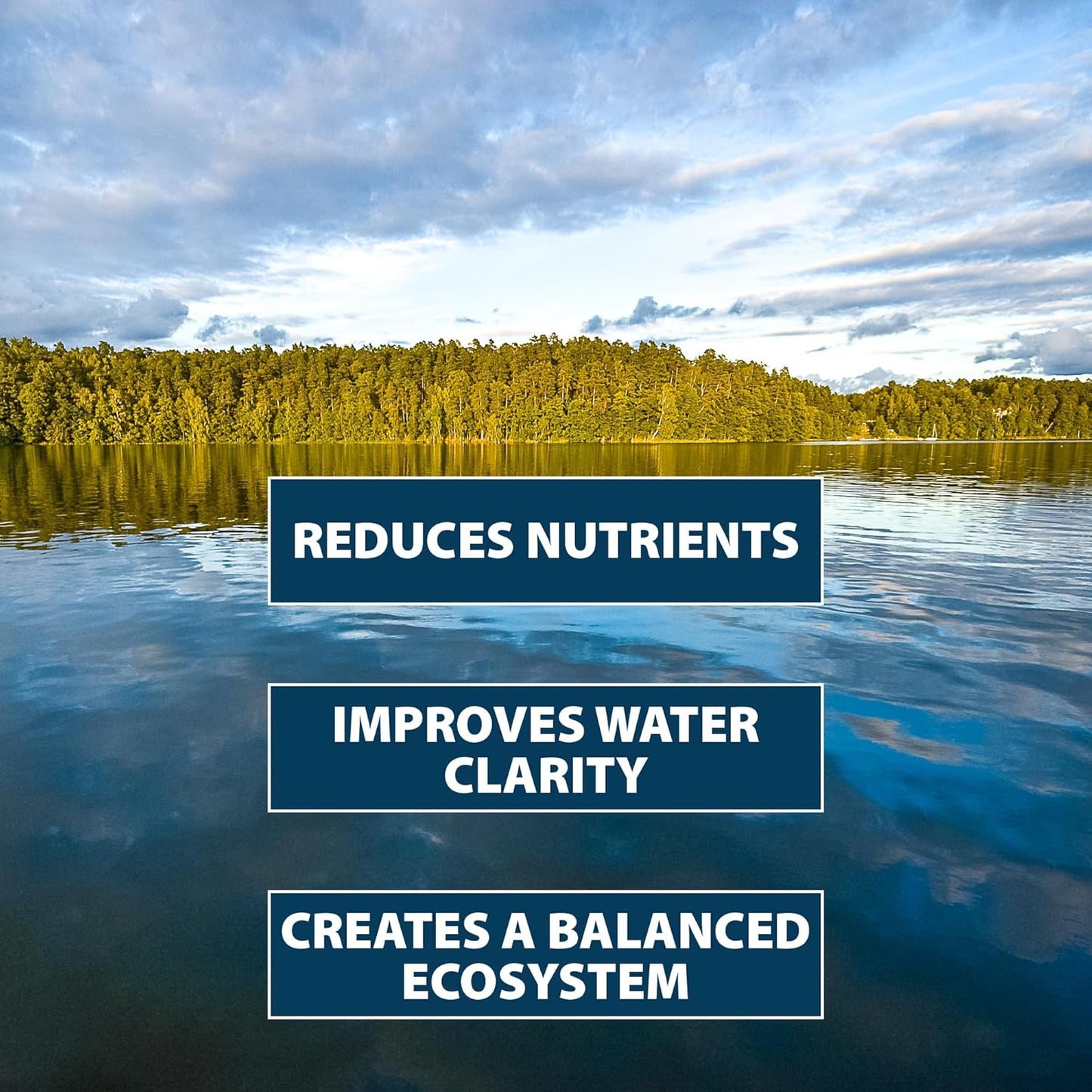 Airmax PondClear Packets, Beneficial Bacteria & Enzyme Clarifier Treatment with Ecoboost PRx, Clear & Clean Pond & Lake Water, Safe for Fish, 12-Count