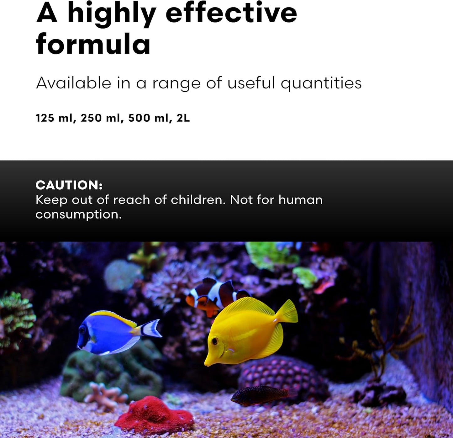 Brightwell Aquatics Vitamarin-M – Complete Vitamin Supplement for Marine Fish, Corals & Invertebrates – Supports Growth, Color & Immune Health – No Refrigeration, 500 ml