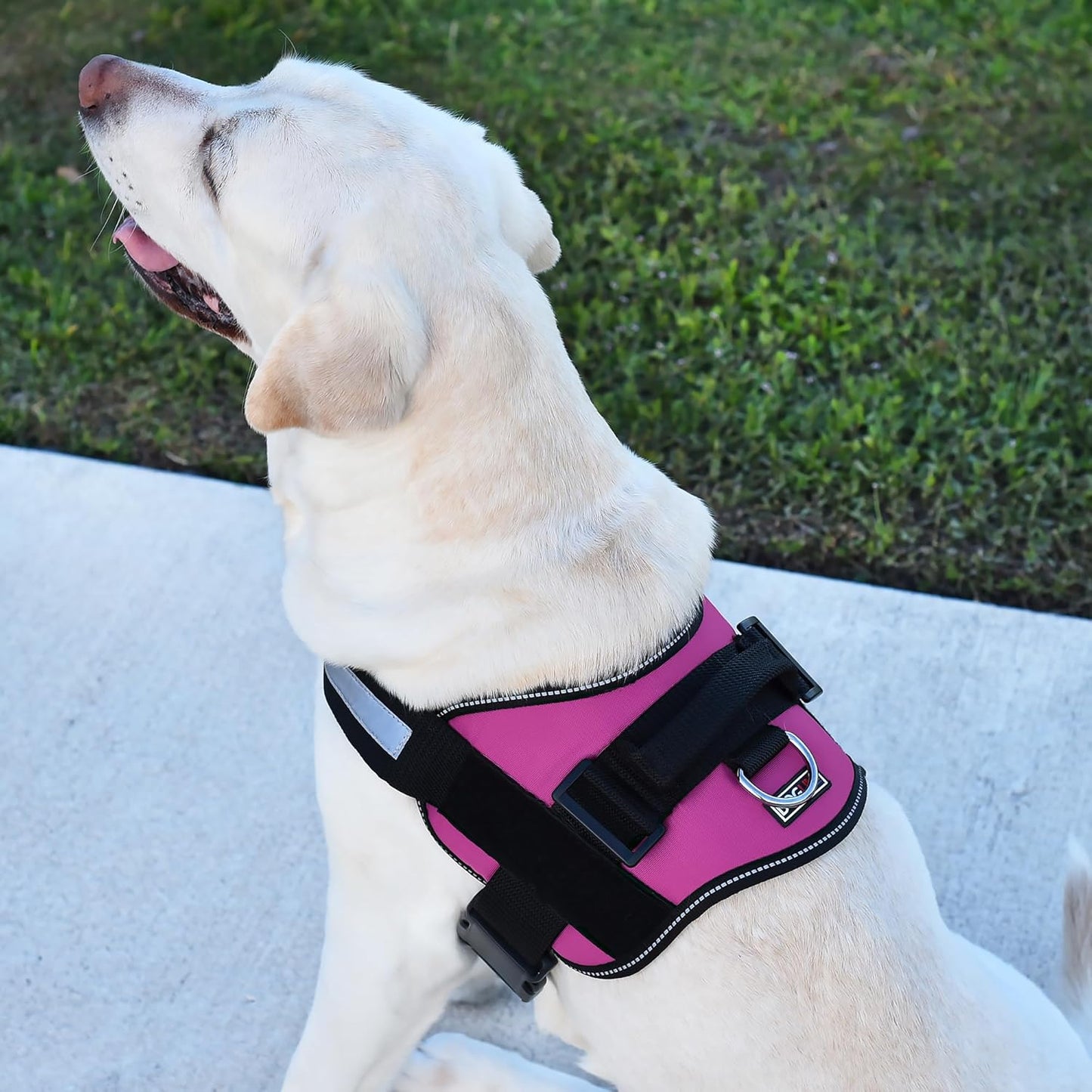 Dogline Dog Harness, Reflective No-Pull Adjustable Vest with Handle, Breathable No-Choke Harness for Small, Medium or Large Dogs Room for Patches Girth 18 to 24 in Pink